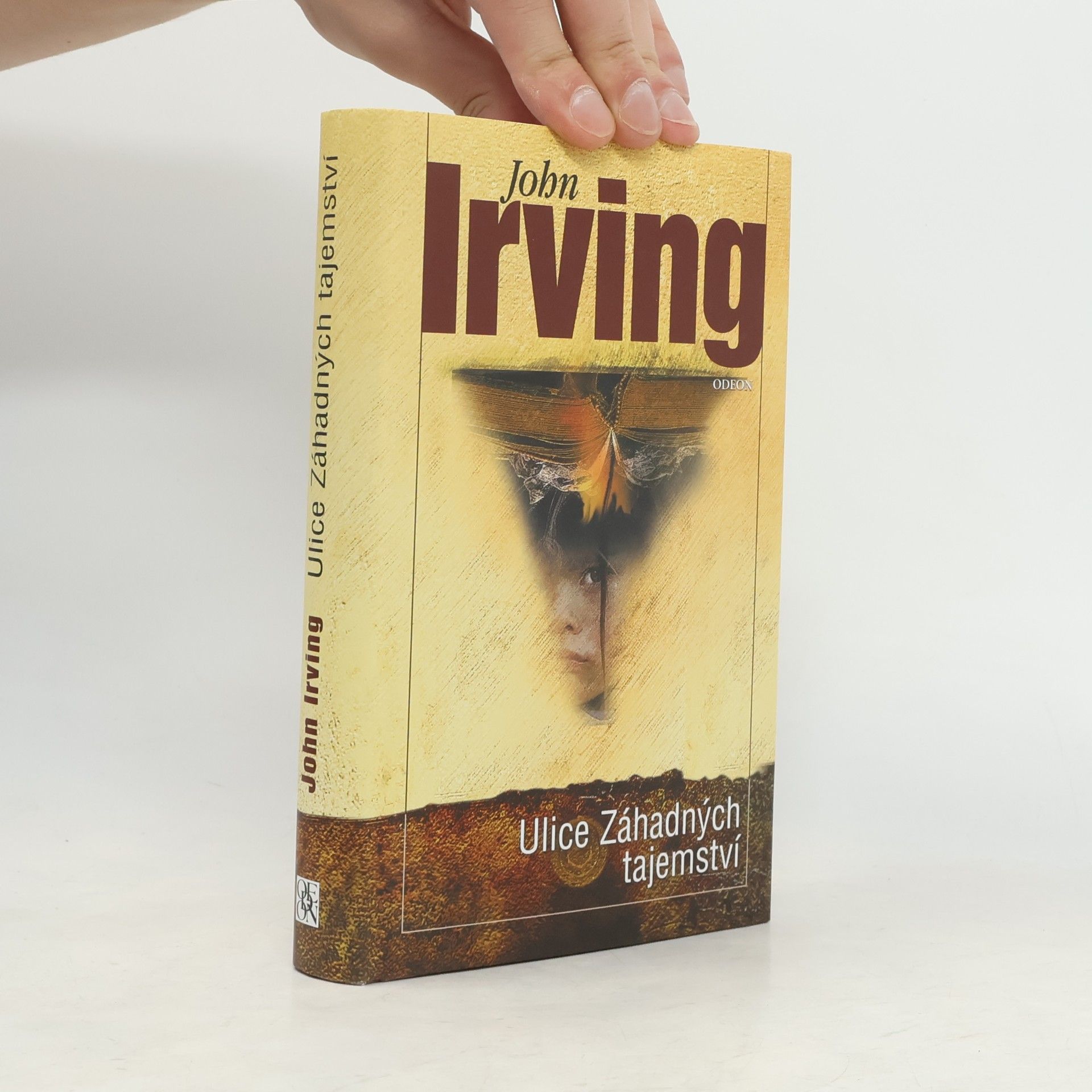 John Irving Ulice Záhadných tajemství