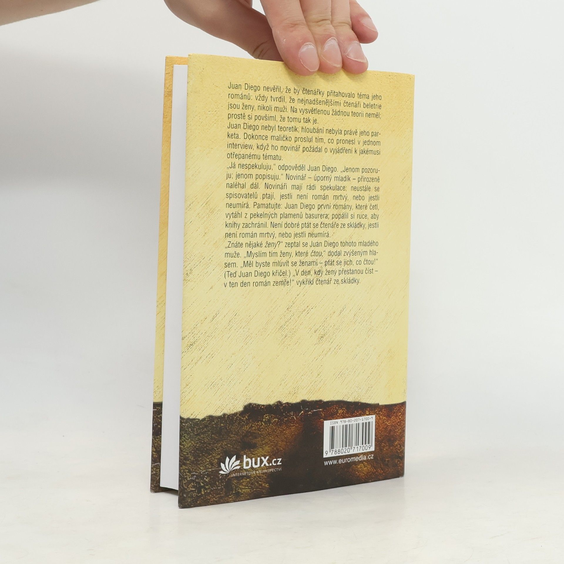 John Irving Ulice Záhadných tajemství