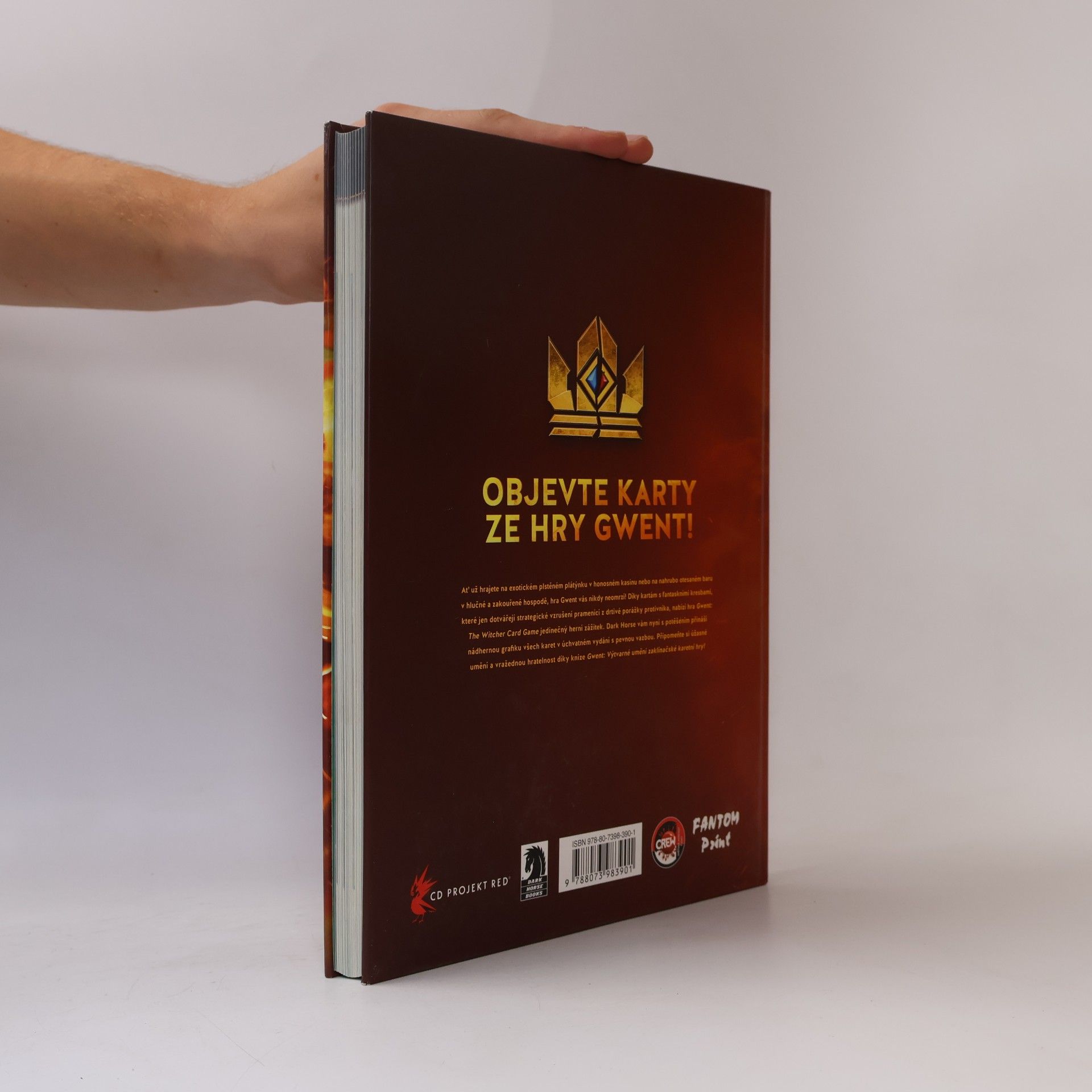 Filip Ženíšek Gwent: Výtvarné umění zaklínačské karetní hry