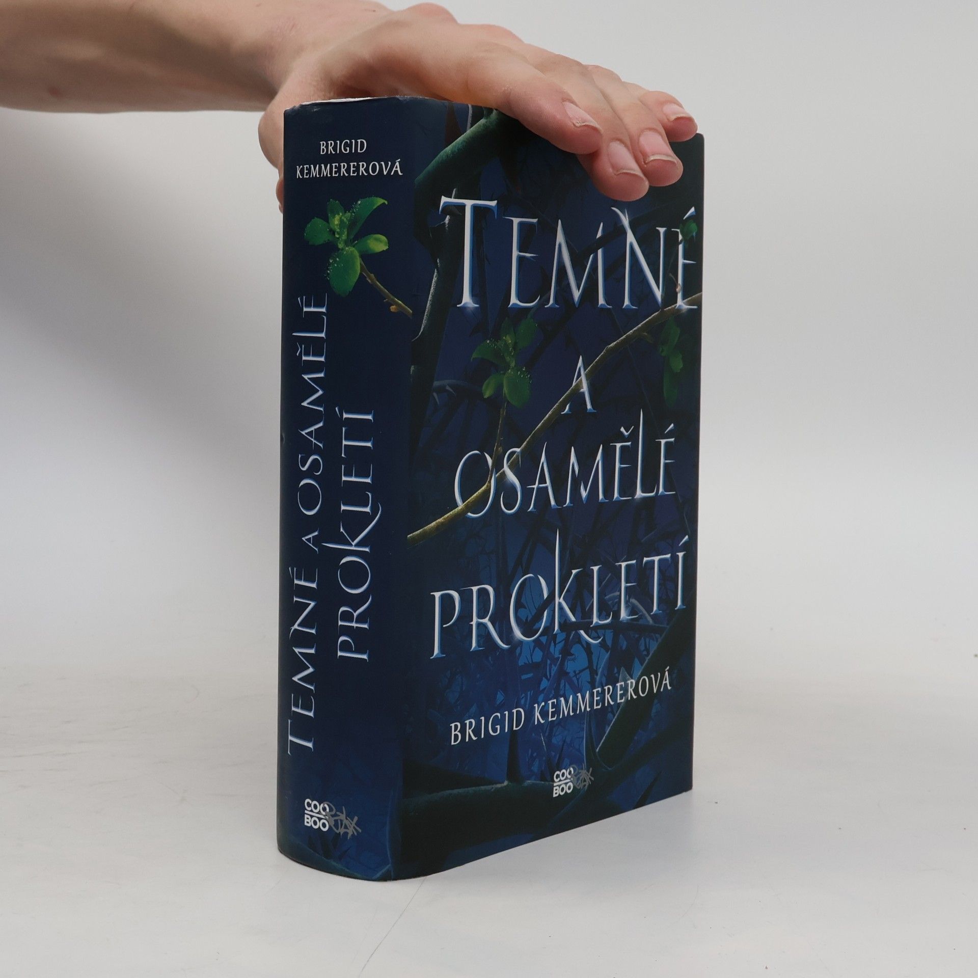 Brigid Kemmererová Temné a osamělé prokletí