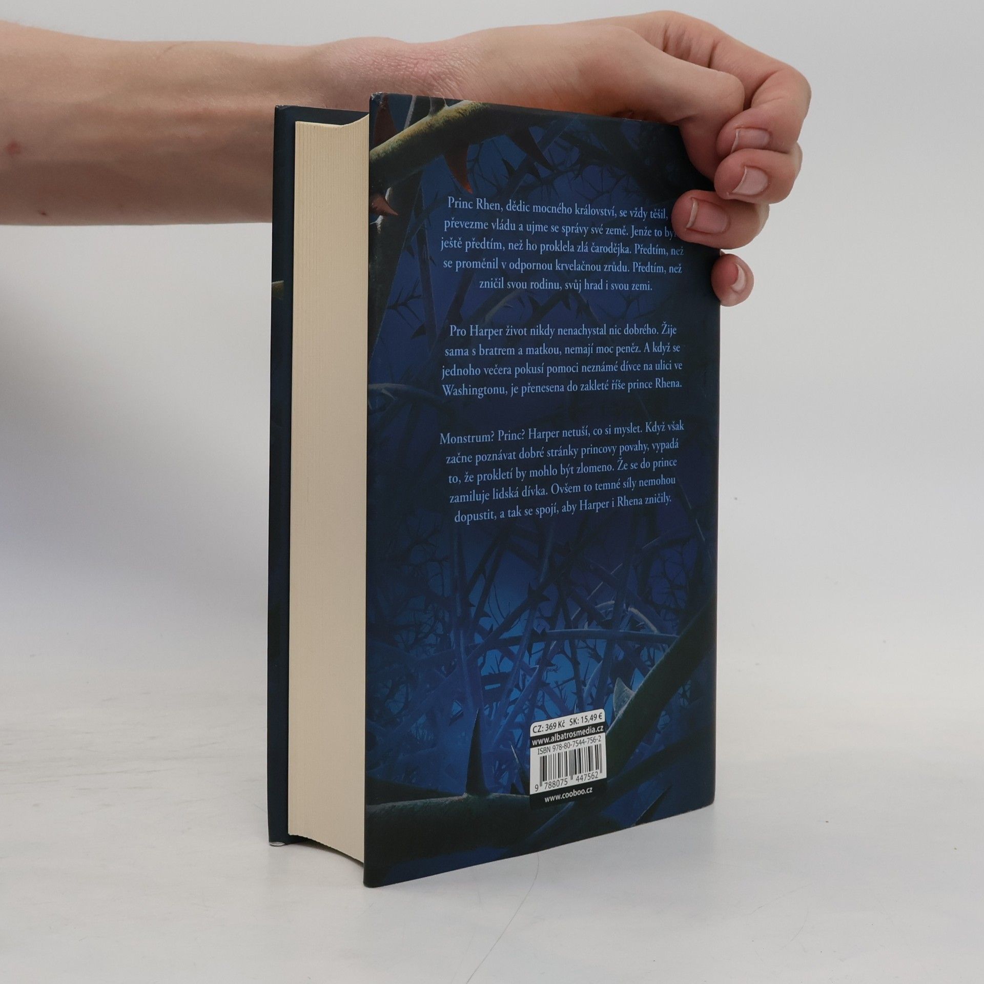 Brigid Kemmerer Temné a osamělé prokletí