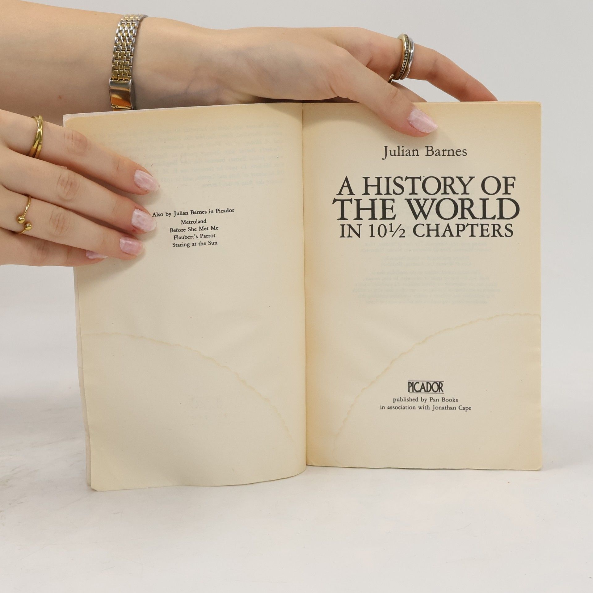 Julian Barnes A History of The World in 10 1/2 Chapters