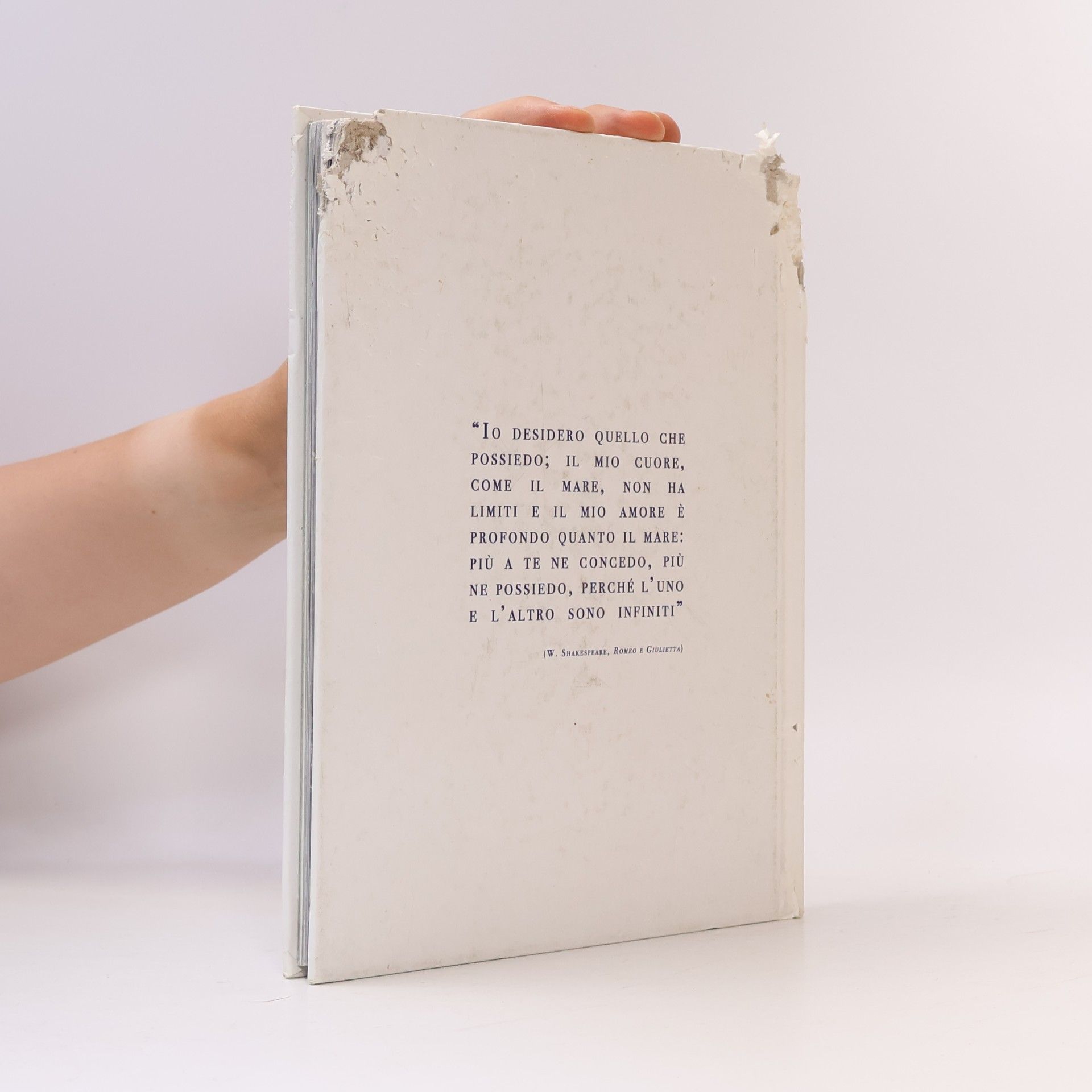 Autorenkollektiv 20 Anni di spose Atelier Aimée montenapoleone