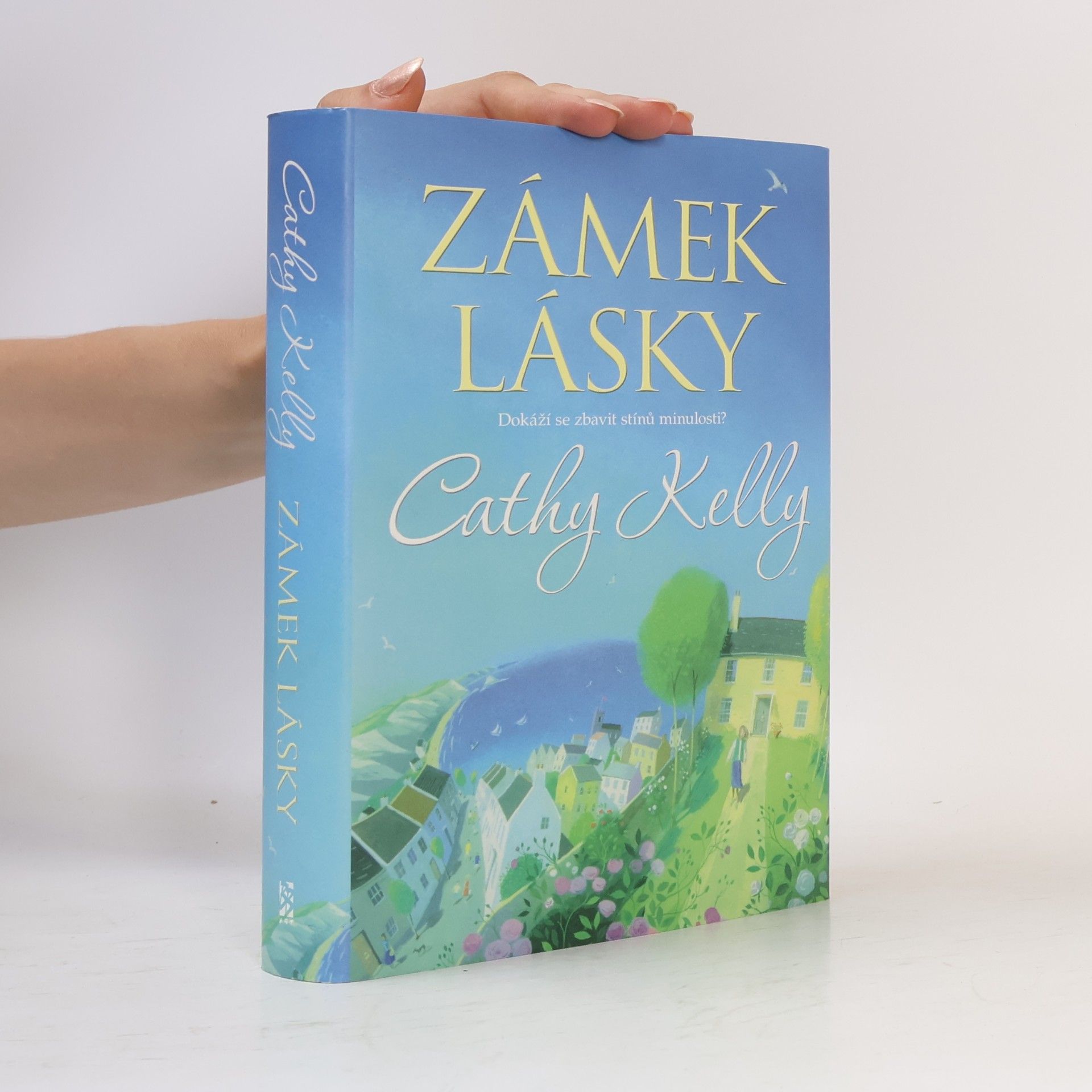 Cathy Kelly Zámek lásky