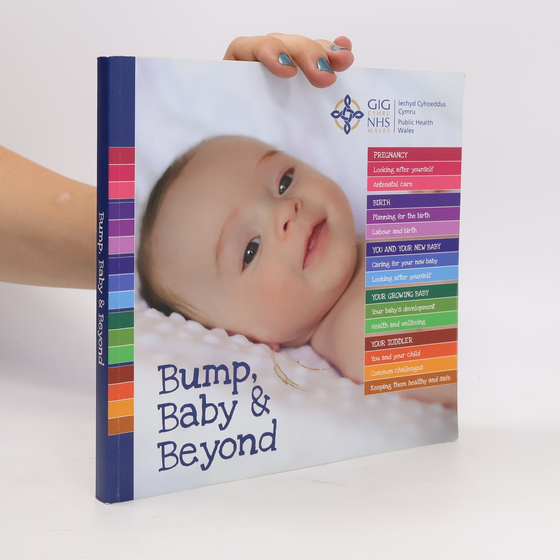Various authors Bump, Baby & Beyond