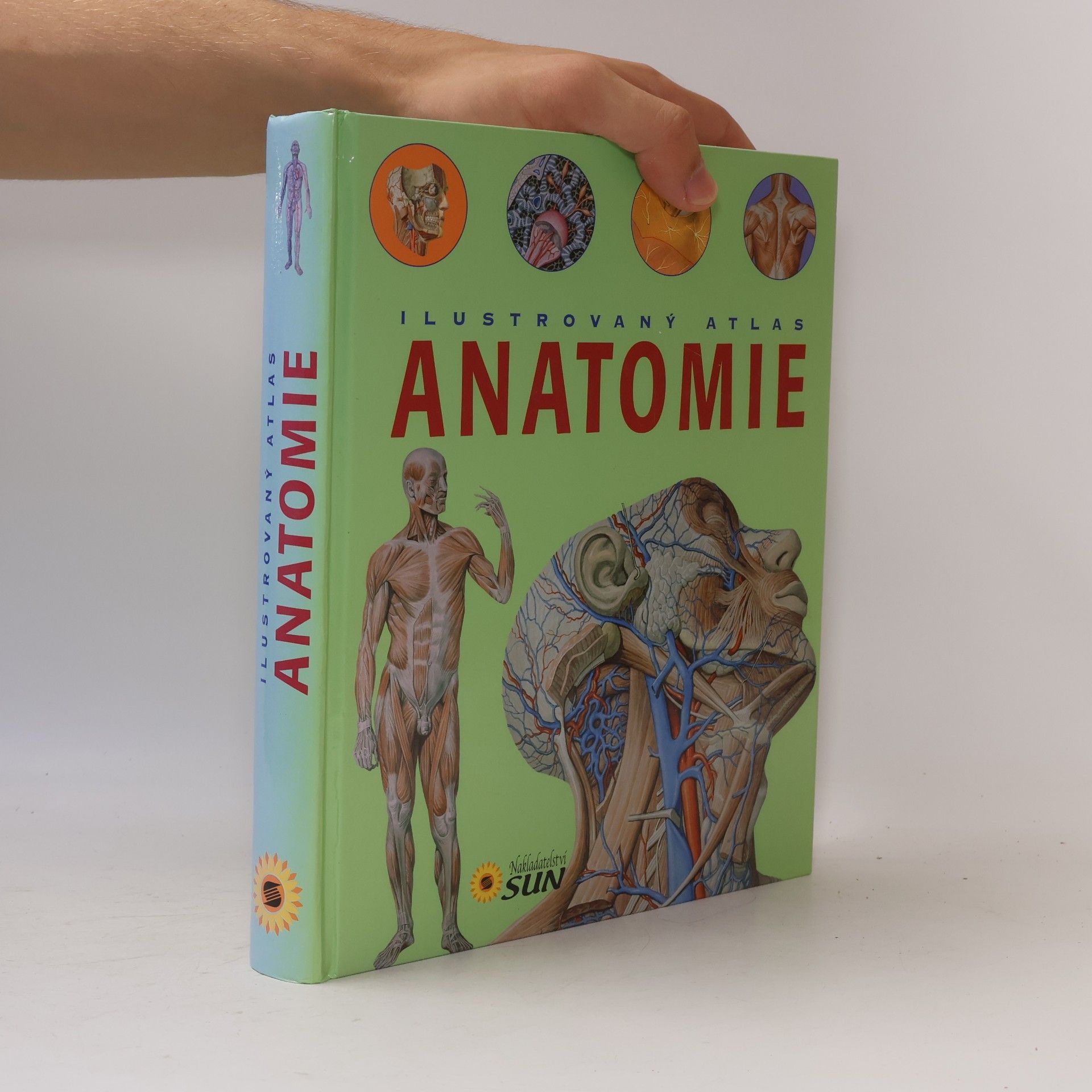 Adriana Rigutti Ilustrovaný atlas anatomie