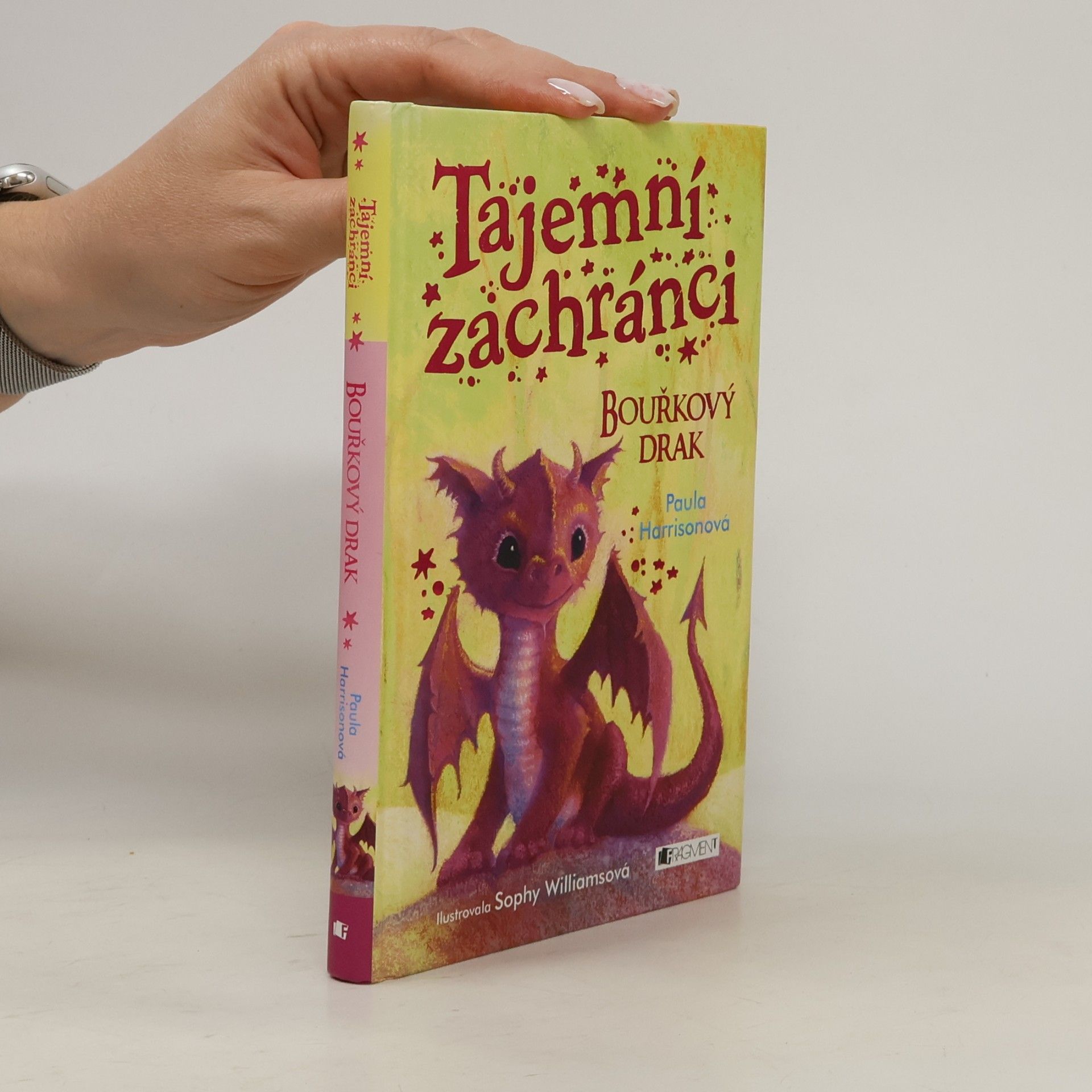 Paula Harrison Tajemní zachránci - Bouřkový drak