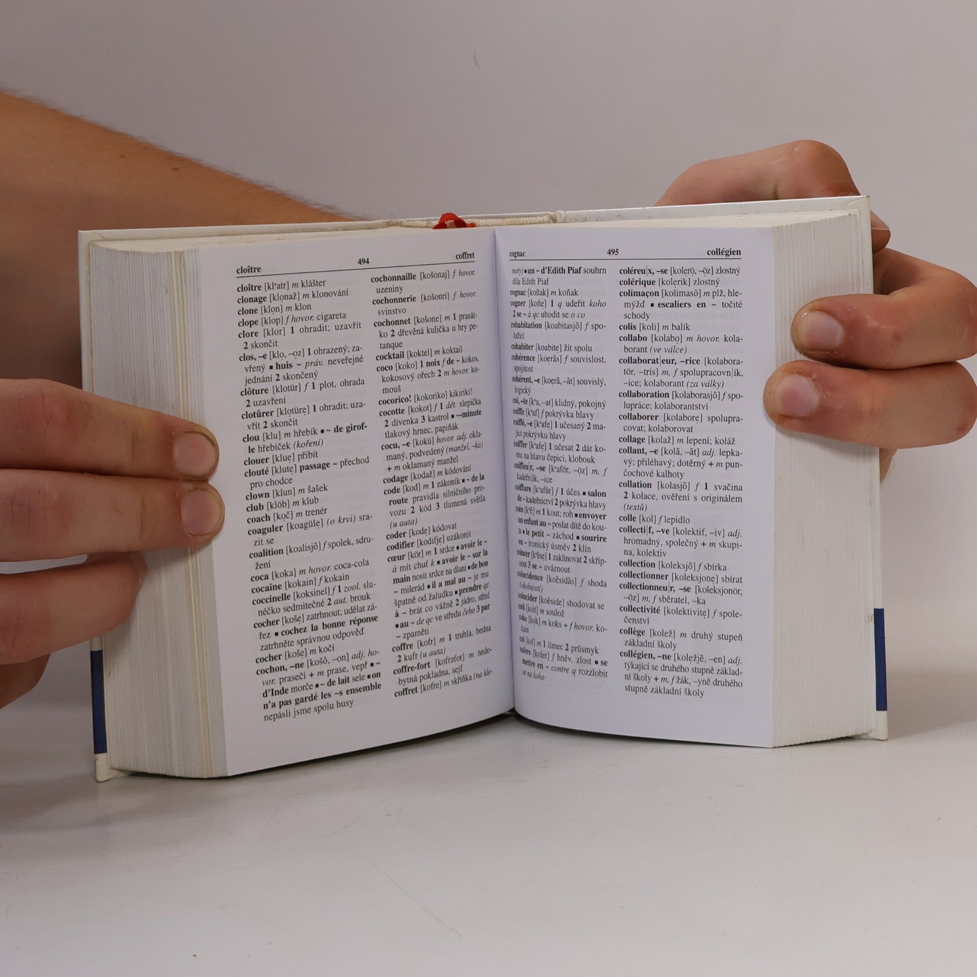 Iva Gailly Česko-francouzský, francouzsko-český kapesní slovník s výslovností = Tchèque-français, français-tchèque dictionnaire de poche avec la prononciation