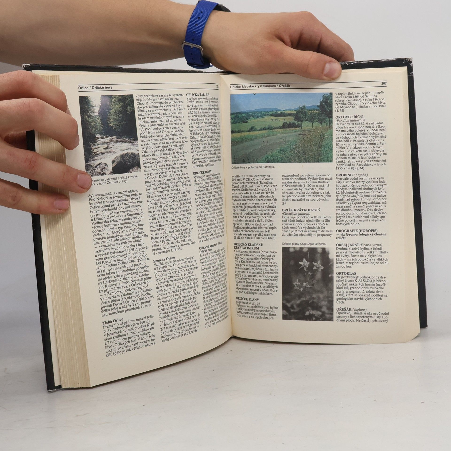 Autorenkollektiv Přírodou do Krkonoš po Vysočinu