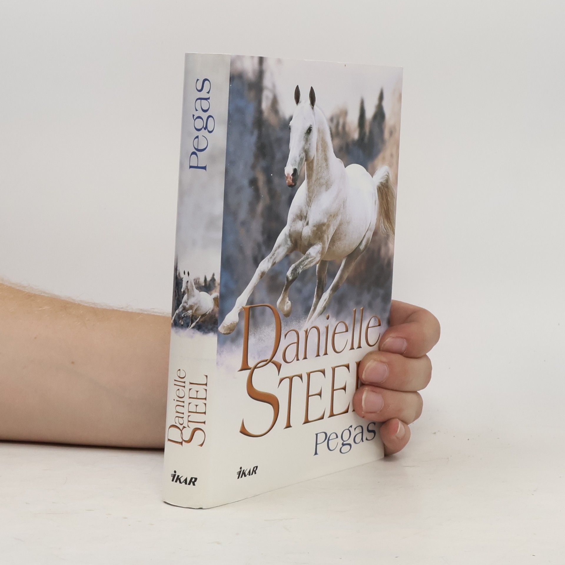 Danielle Steel Pegas