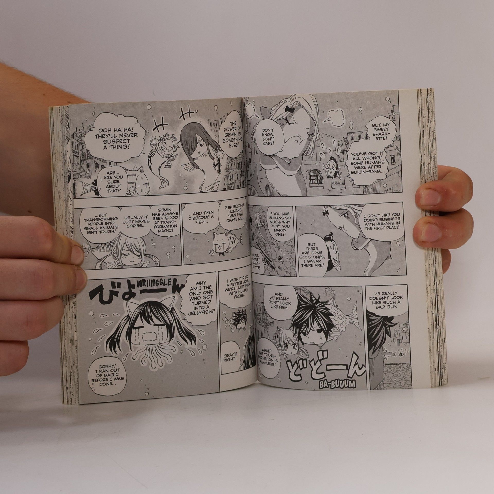 Hiro M. Fairy Tail: 100 Years Quest 1