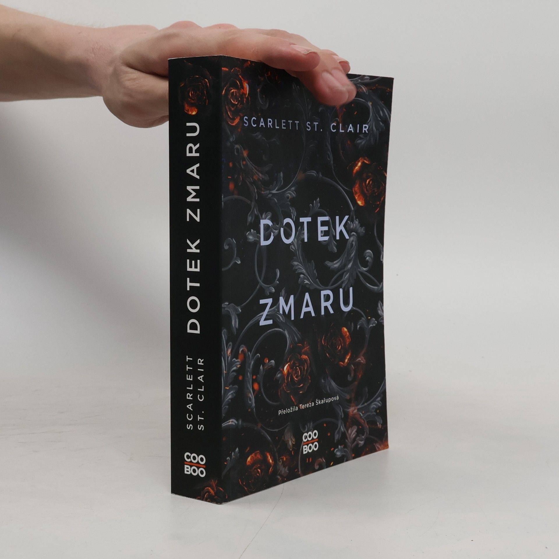 Dotek zmaru