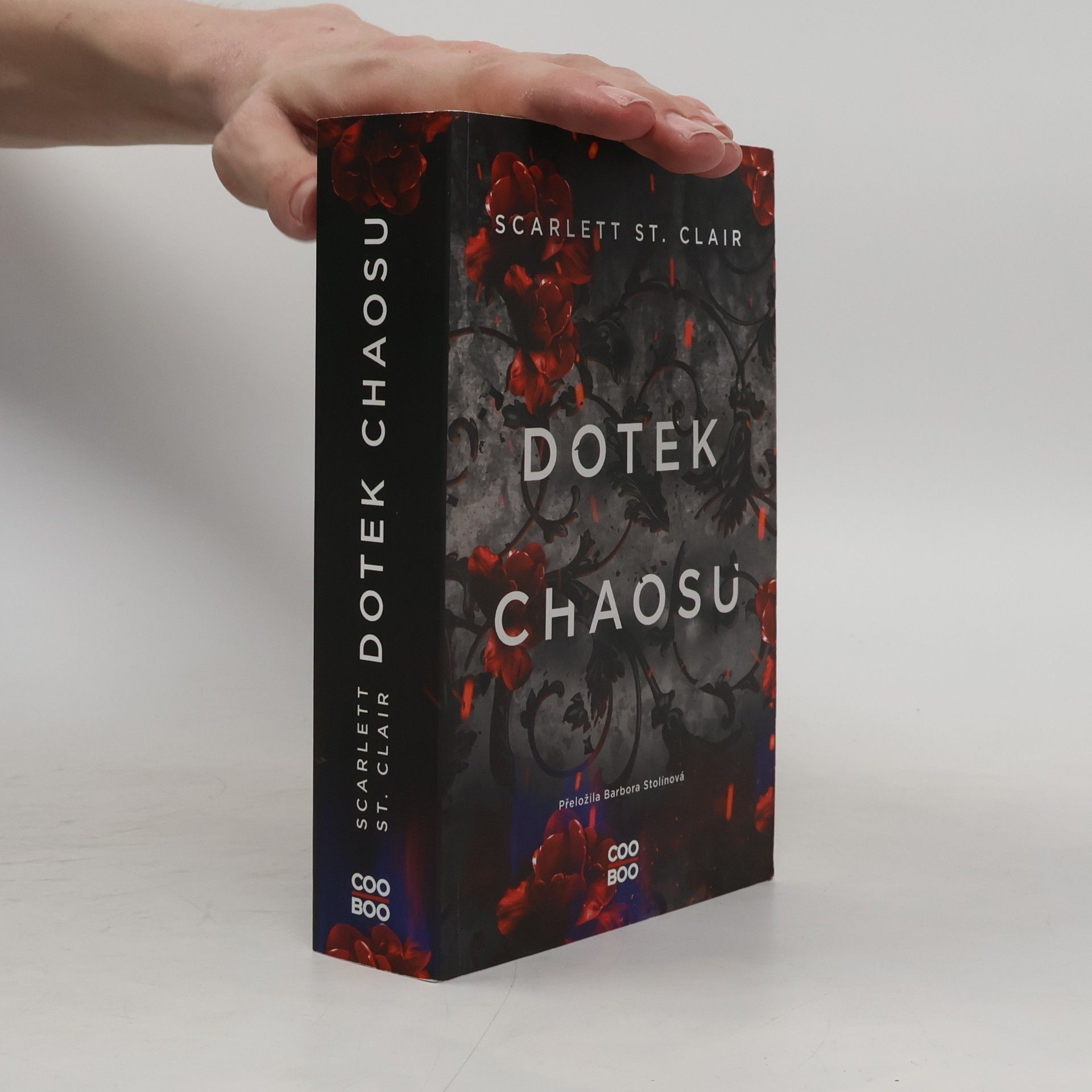 Dotek chaosu