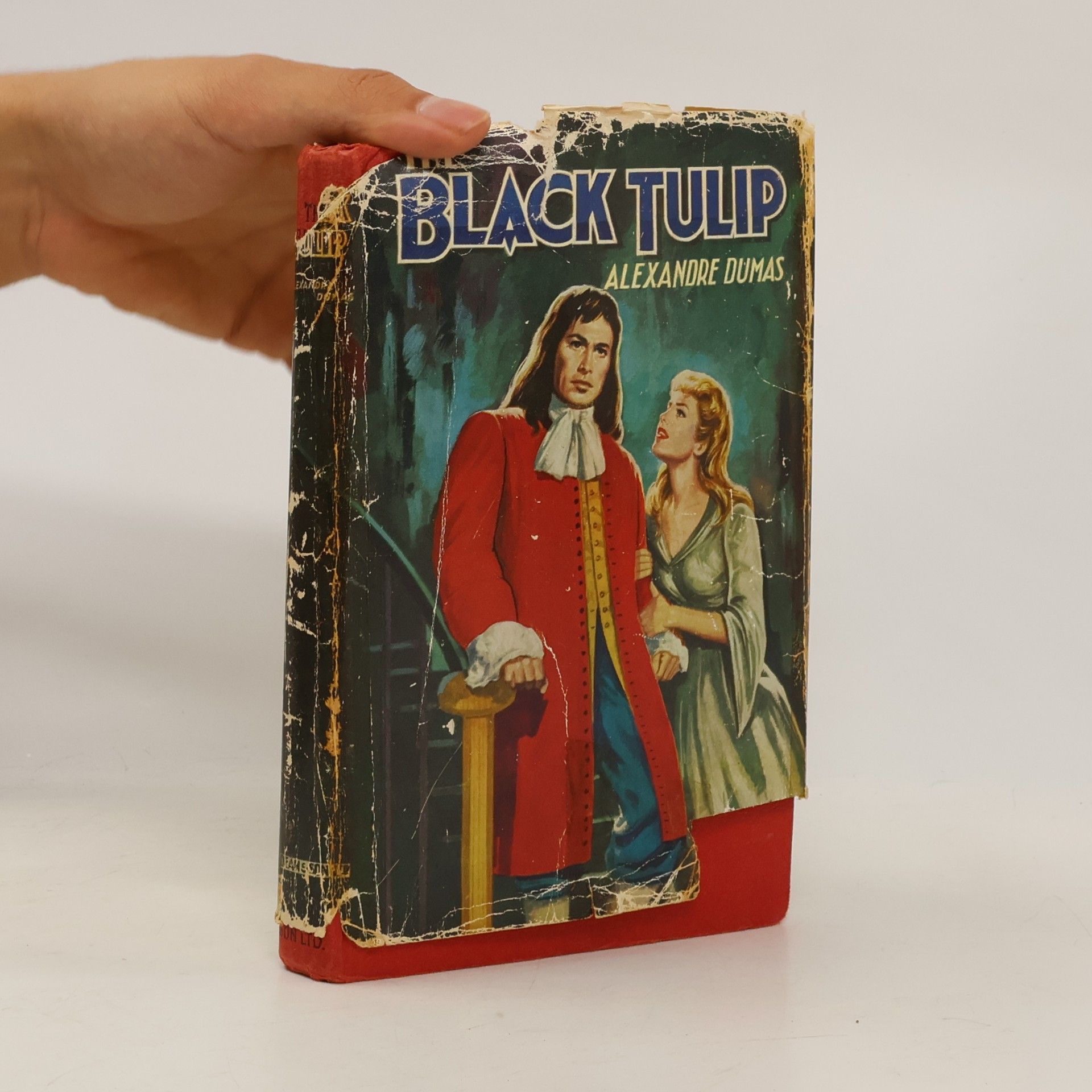 The Black Tulip