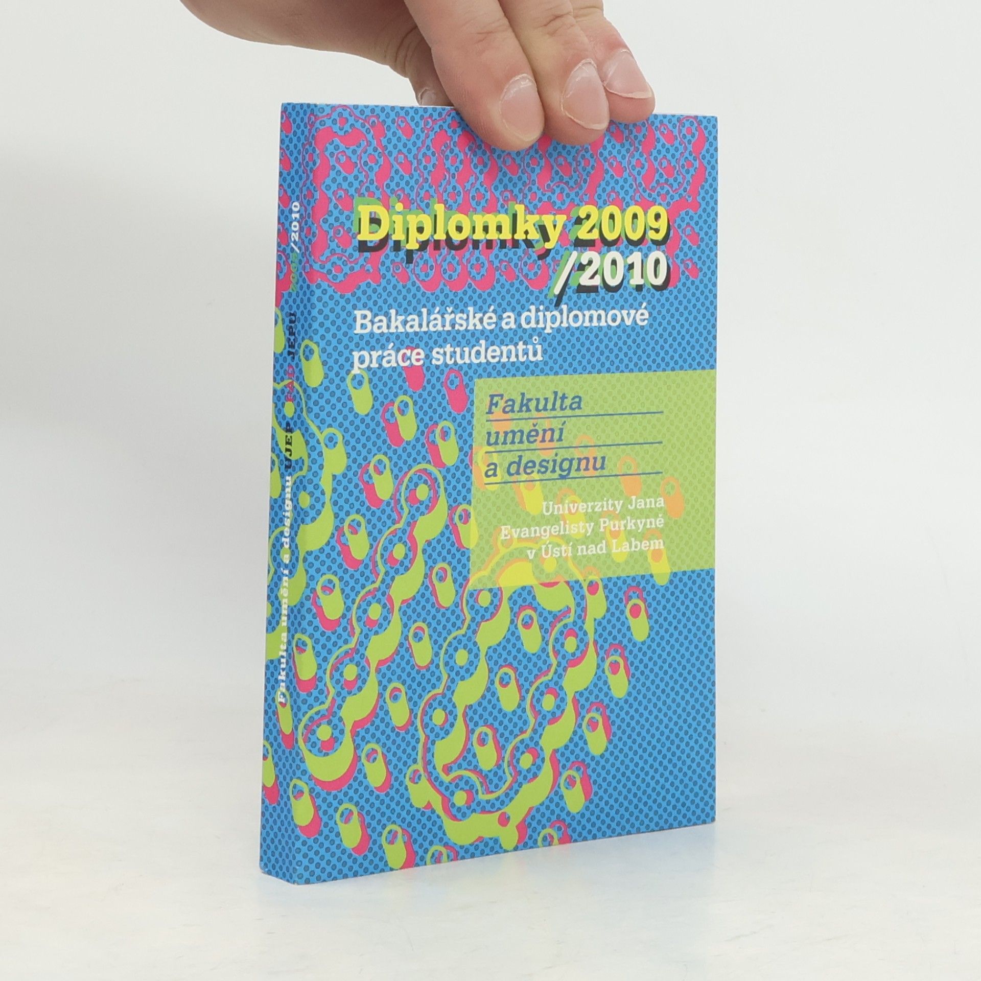 Diplomky 2009 / 2010