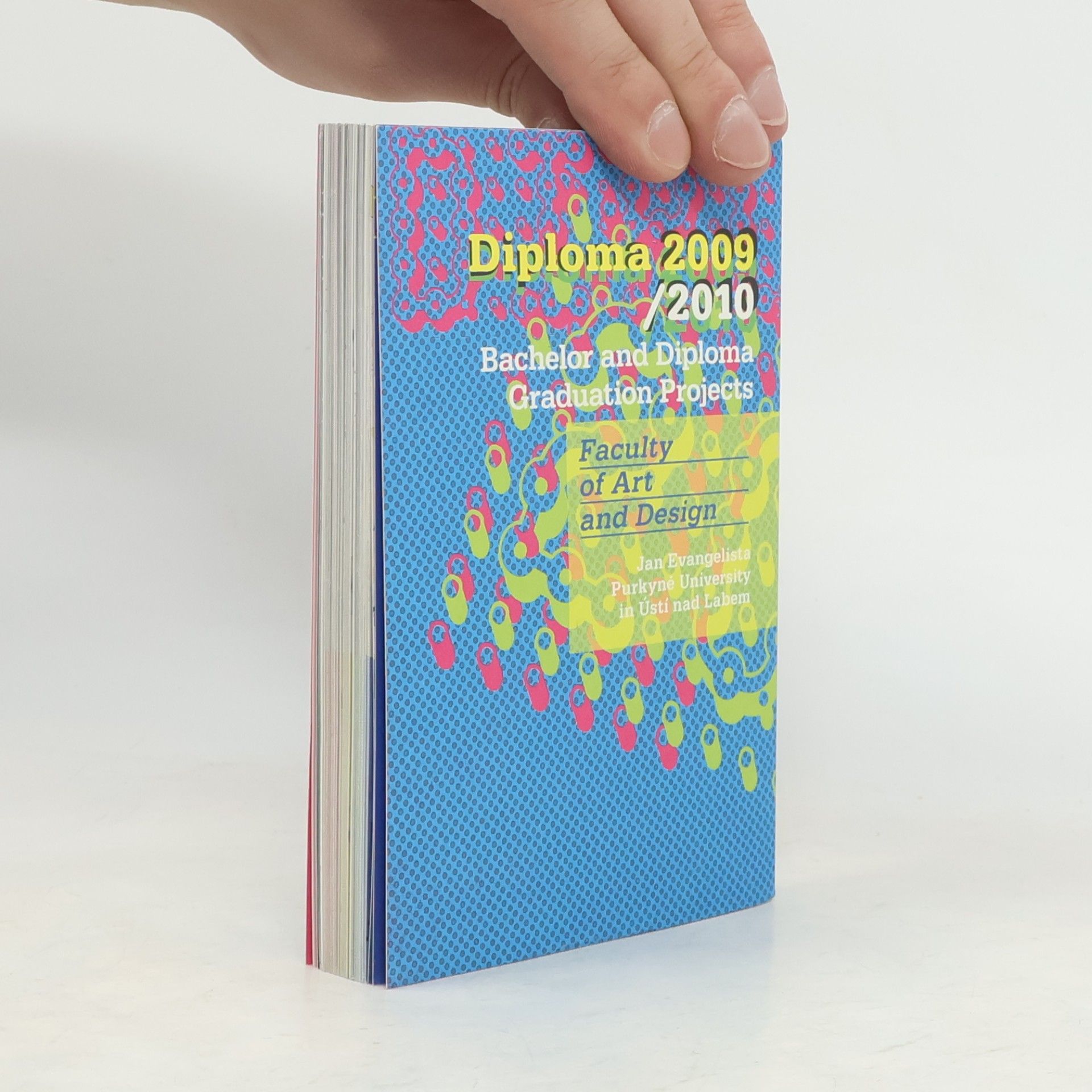Michal Koleček Diplomky 2009 / 2010