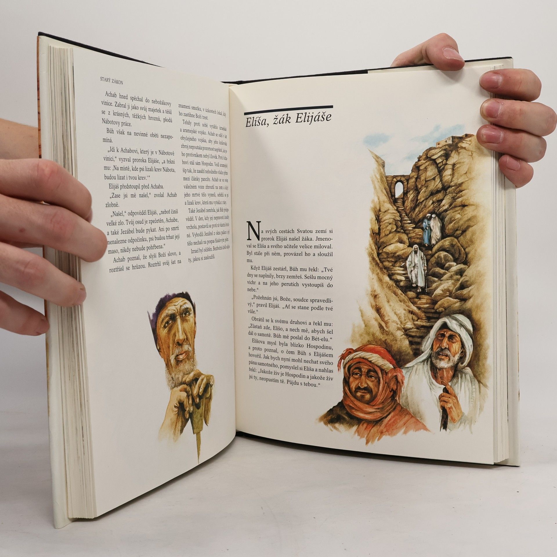 Leo Pavlát Příběhy z Bible