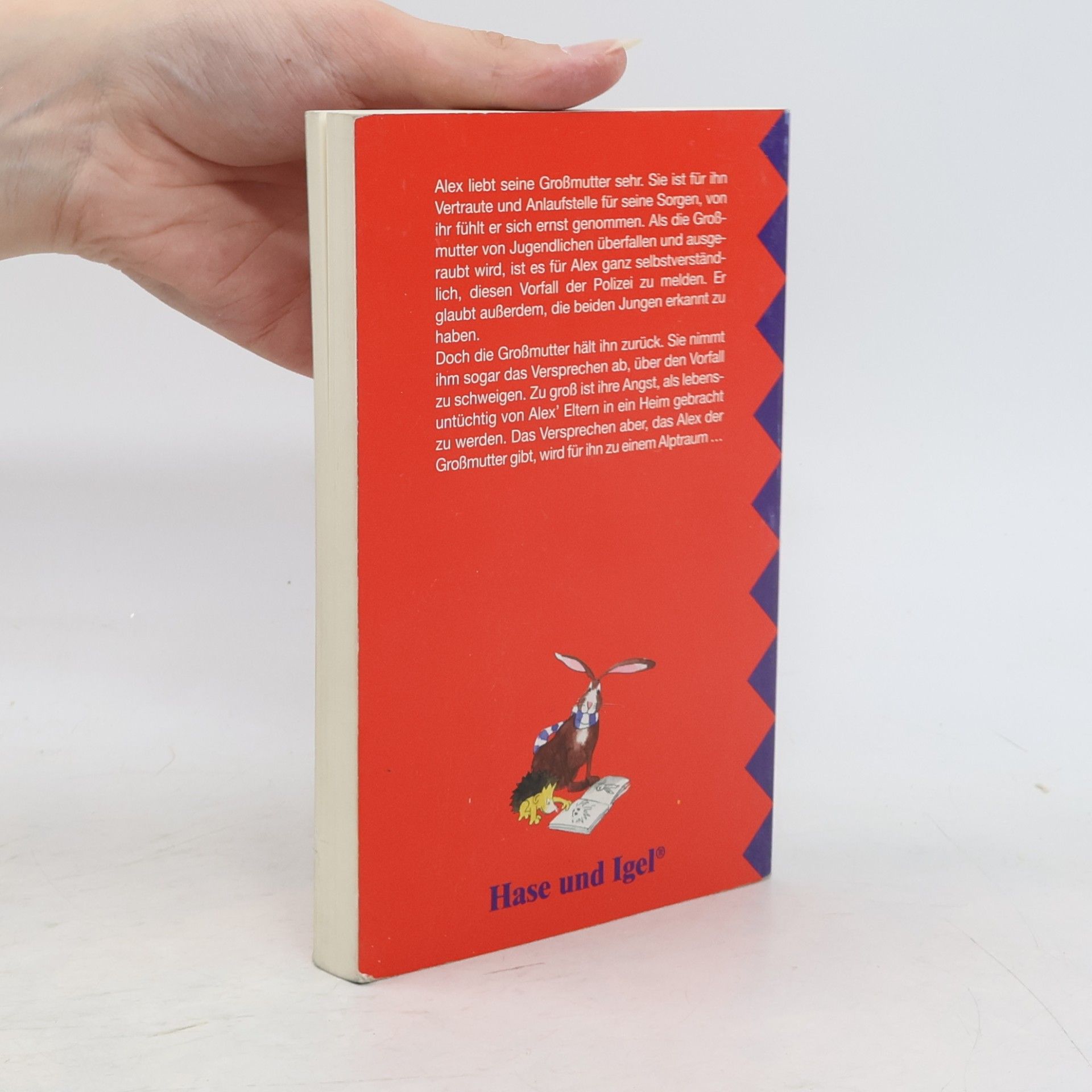 Mieke van Hooft Der Taschendieb