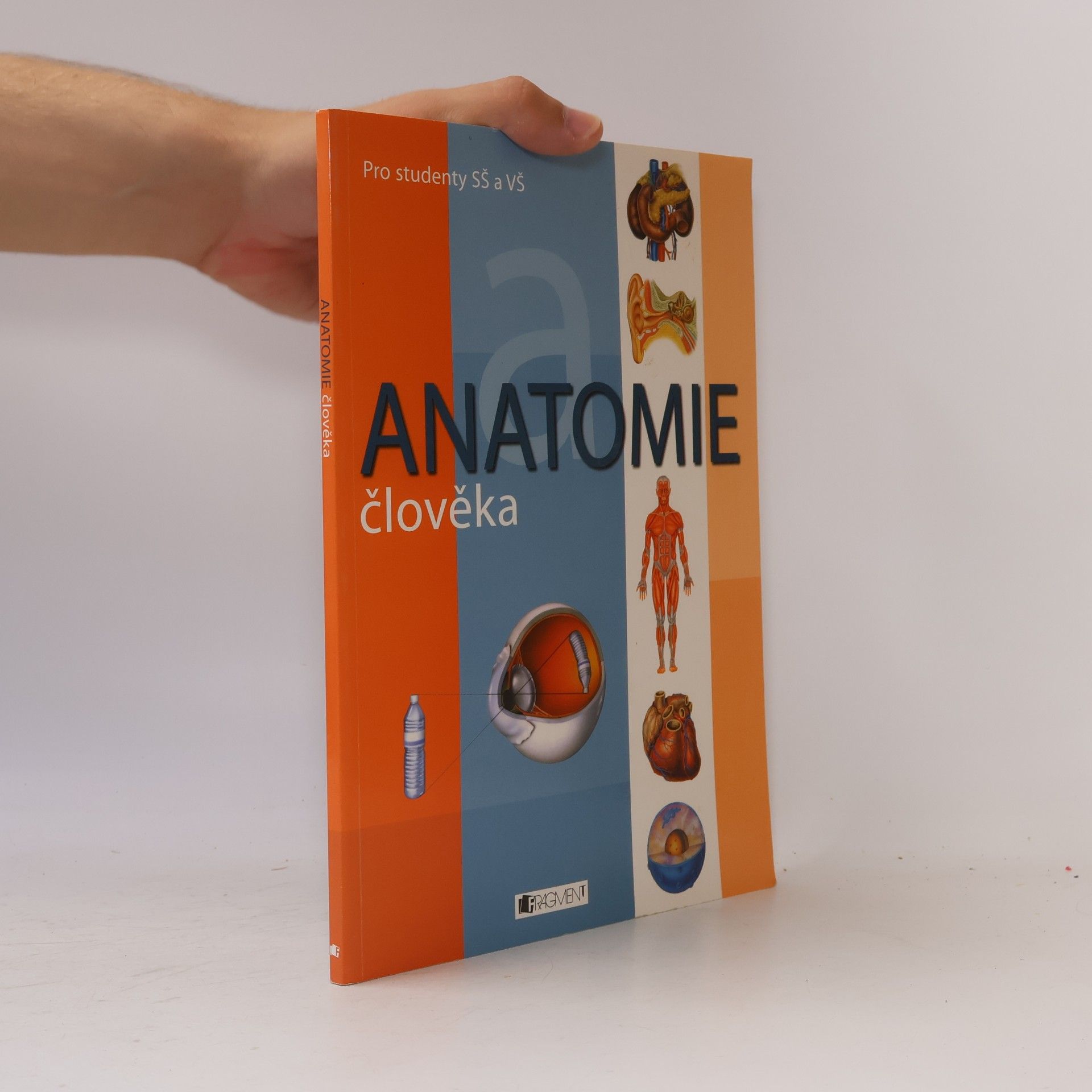 Adolfo Cassan Anatomie člověka