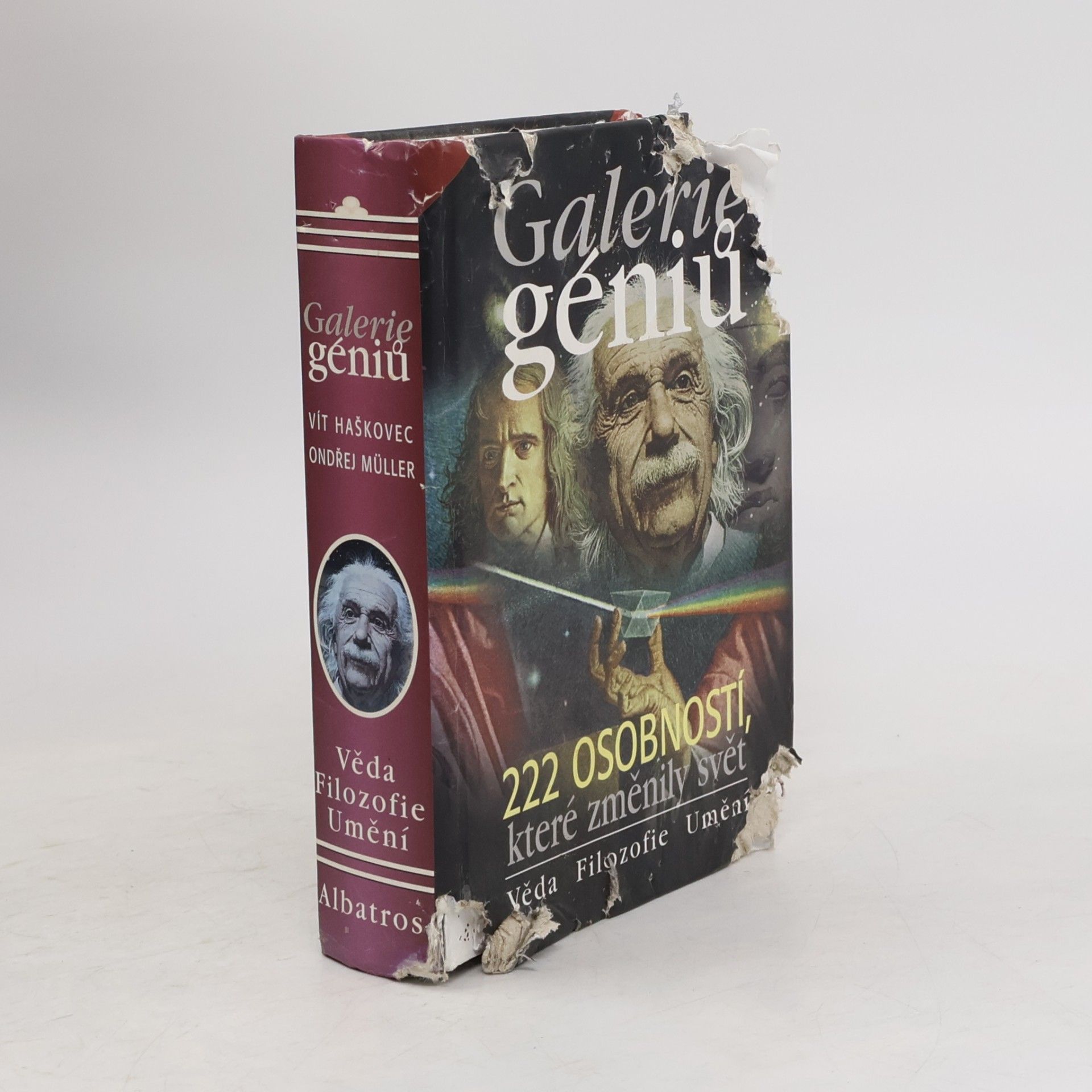 Vít Haškovec Galerie géniů