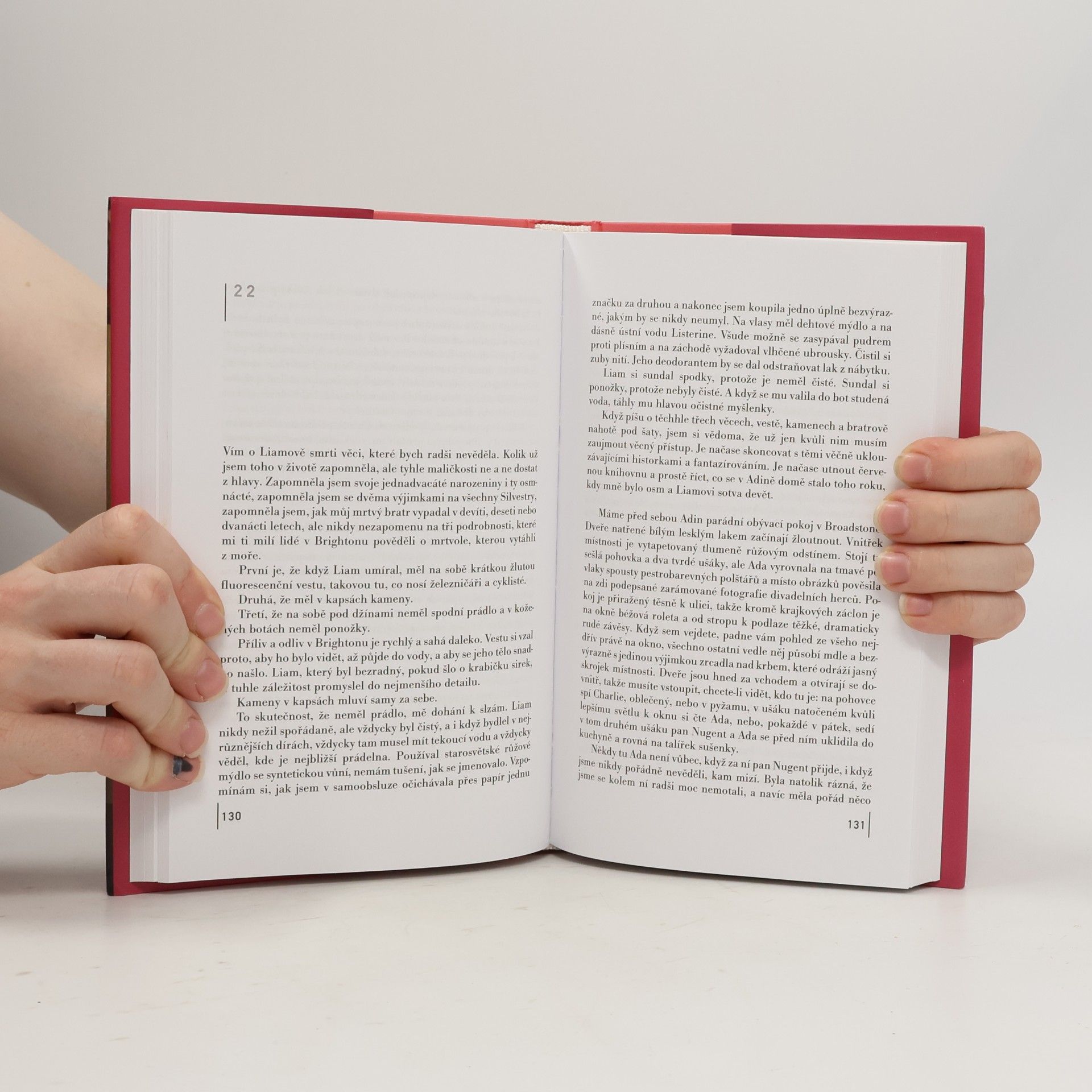 Anne Enright Shledání