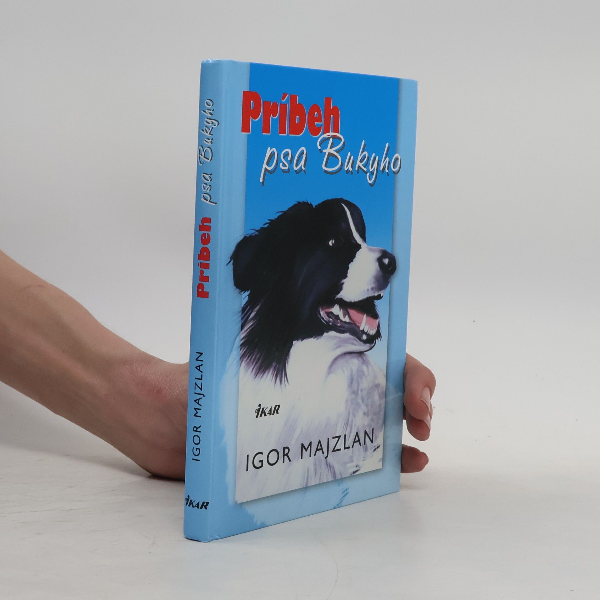 Igor Majzlan Príbeh psa Bukyho