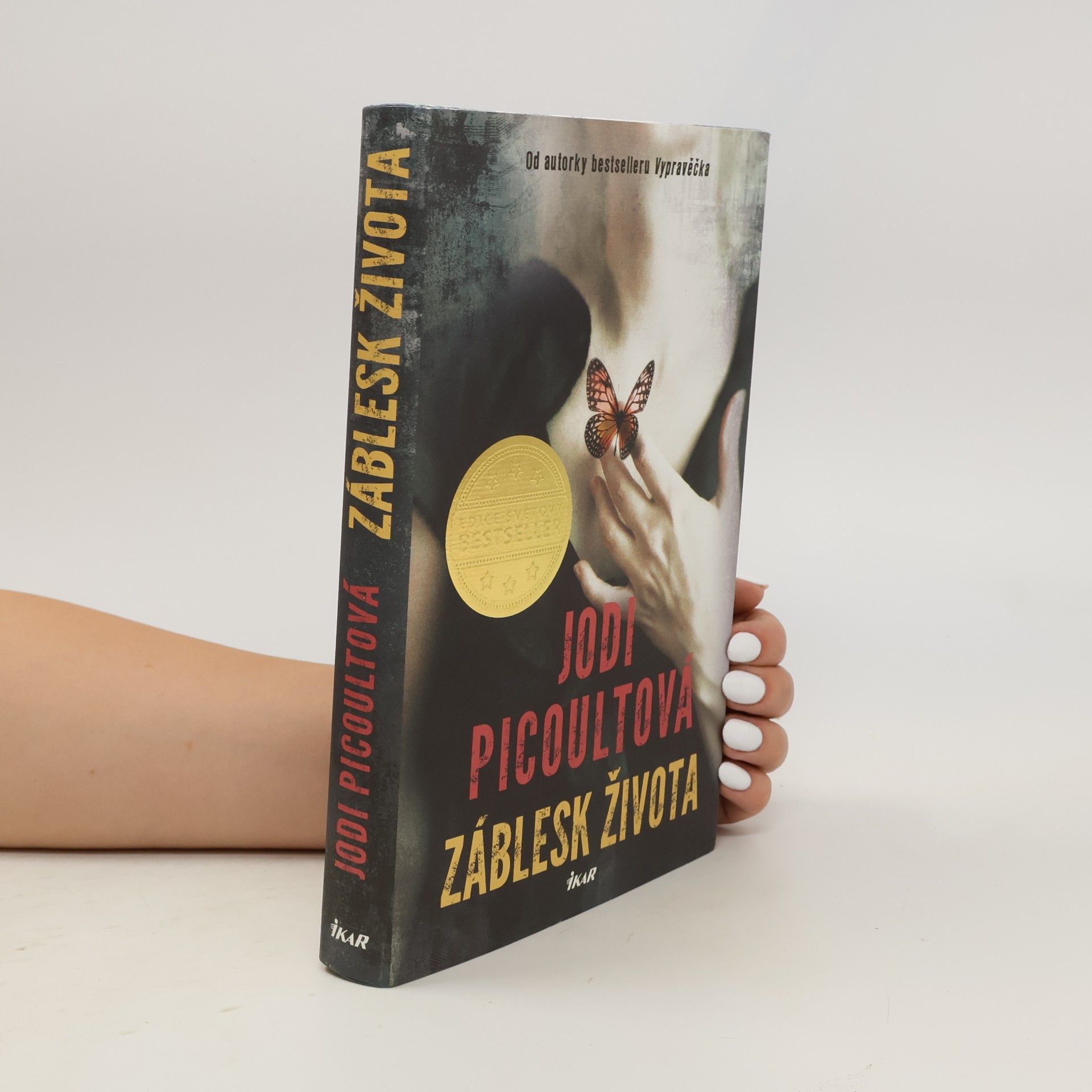 Jodi Picoult Záblesk života