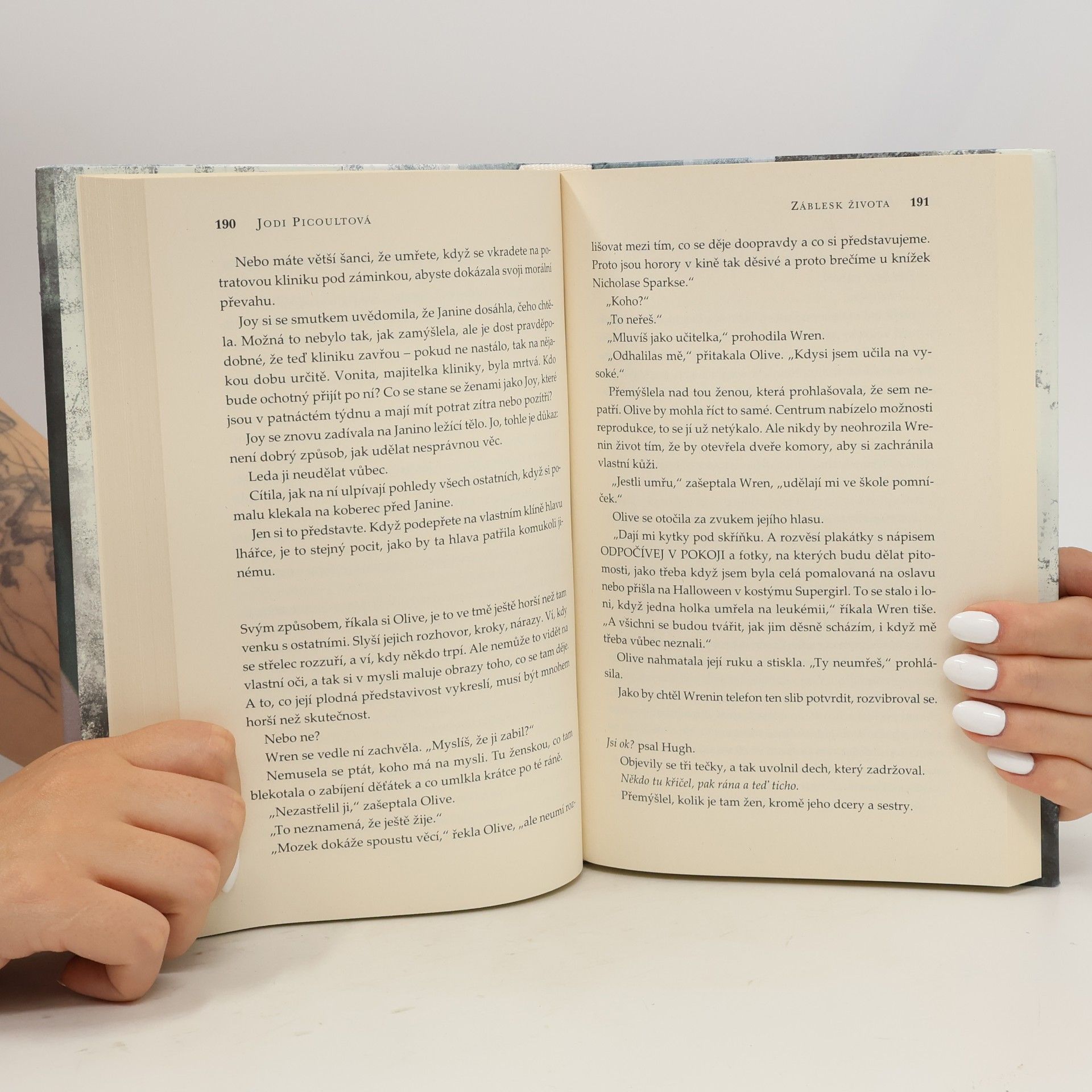 Jodi Picoult Záblesk života