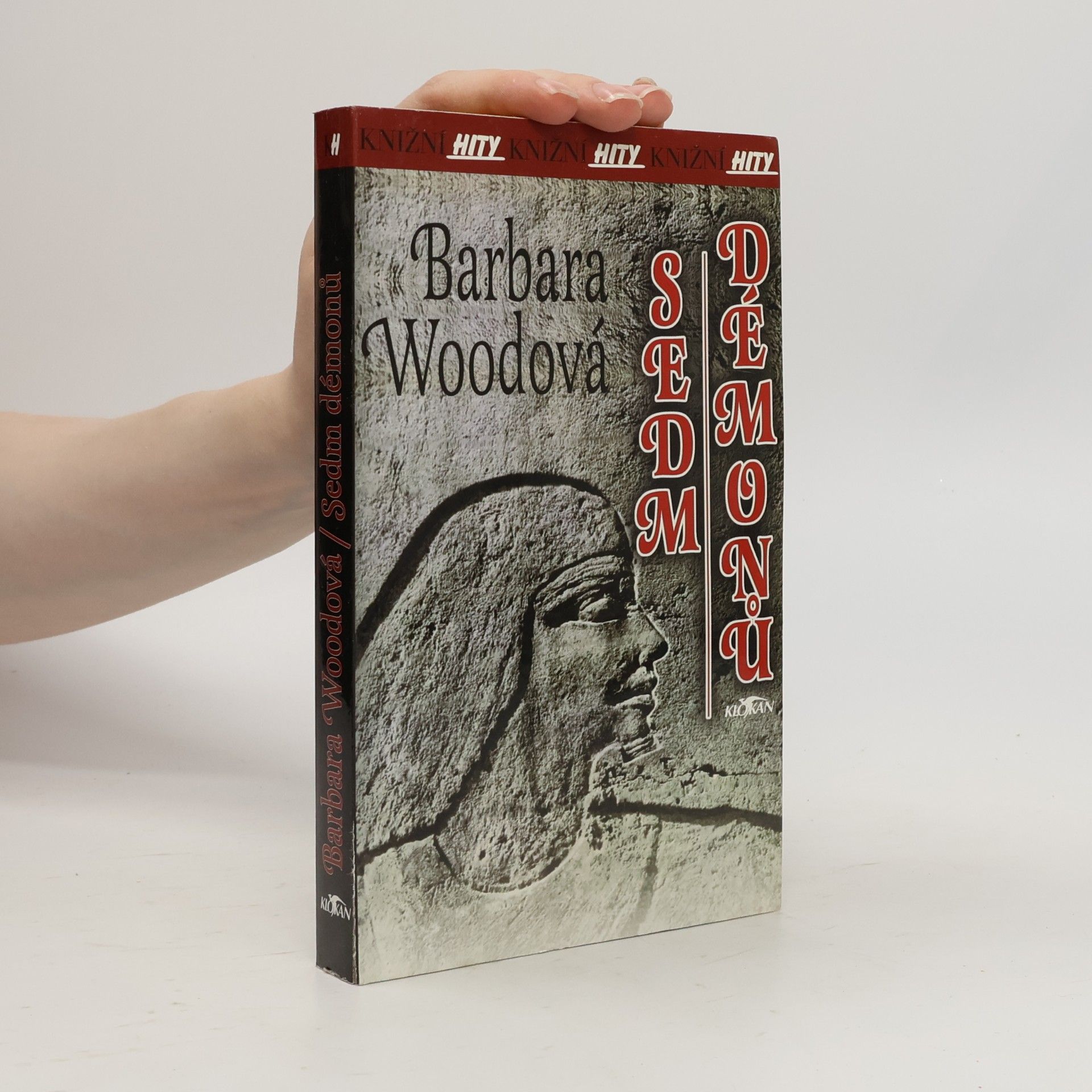 Barbara Wood Sedm démonů