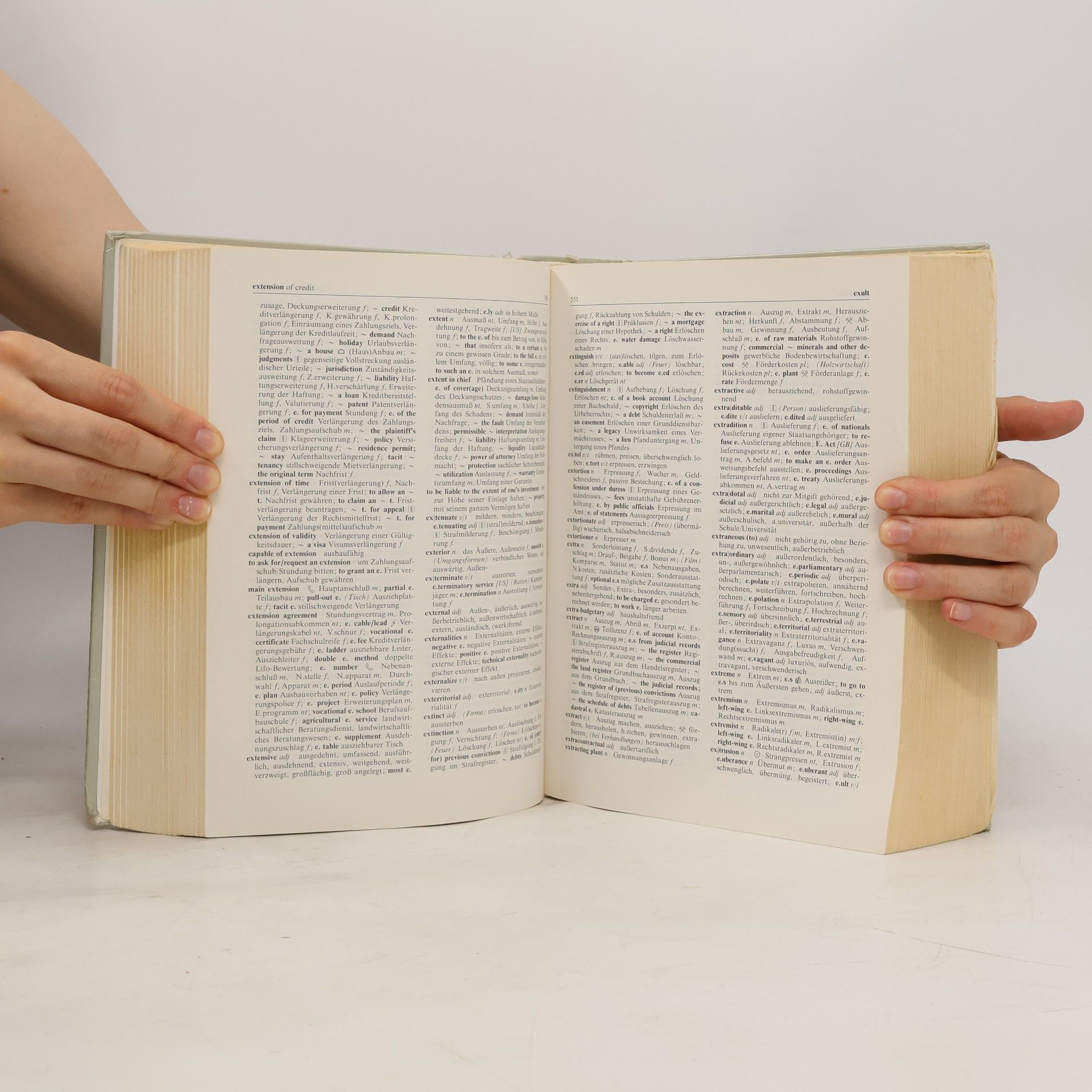 Dieter Hamblock Großwörterbuch Wirtschaftsenglisch
