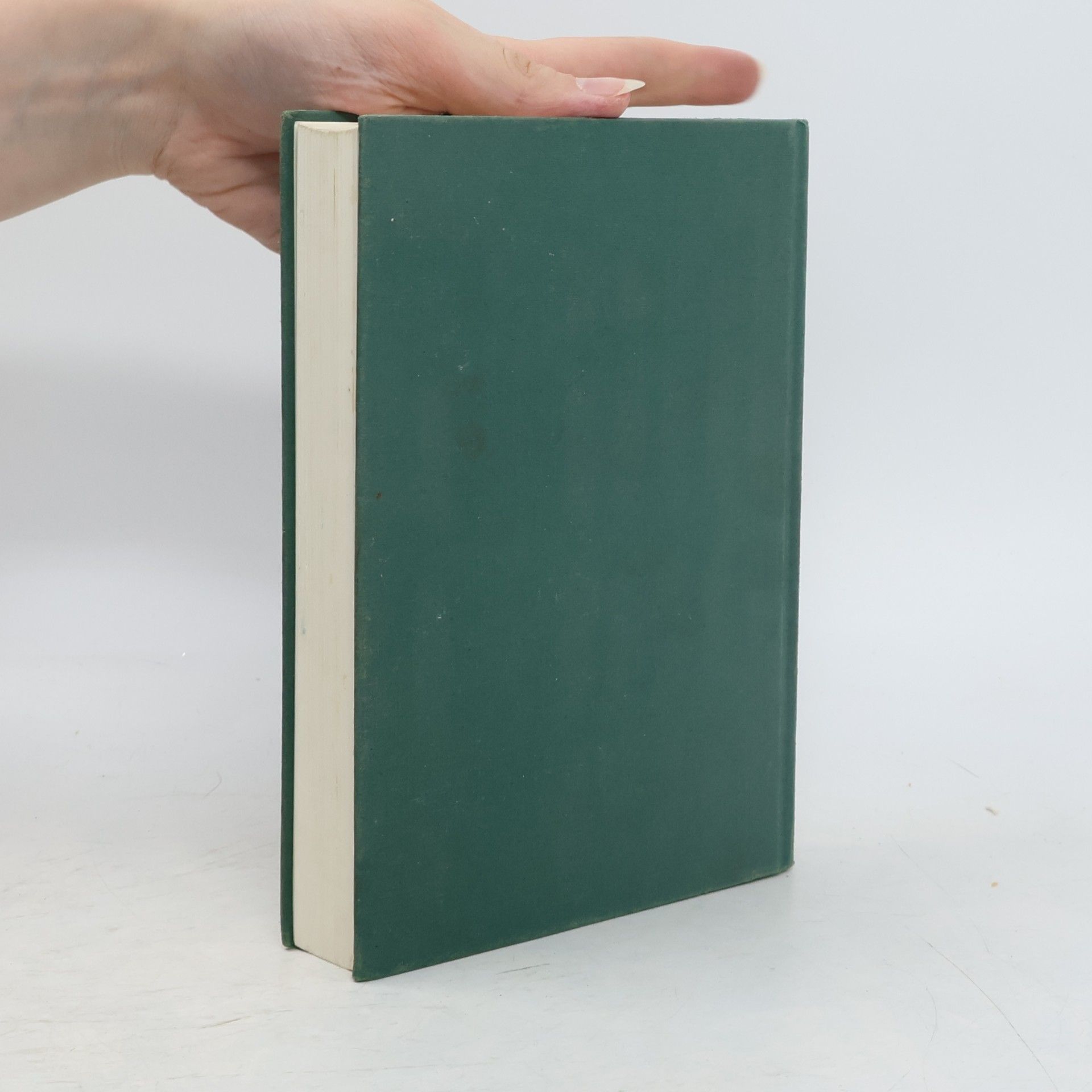 Reinhard Michl Jim Knopf und die Wilde 13.