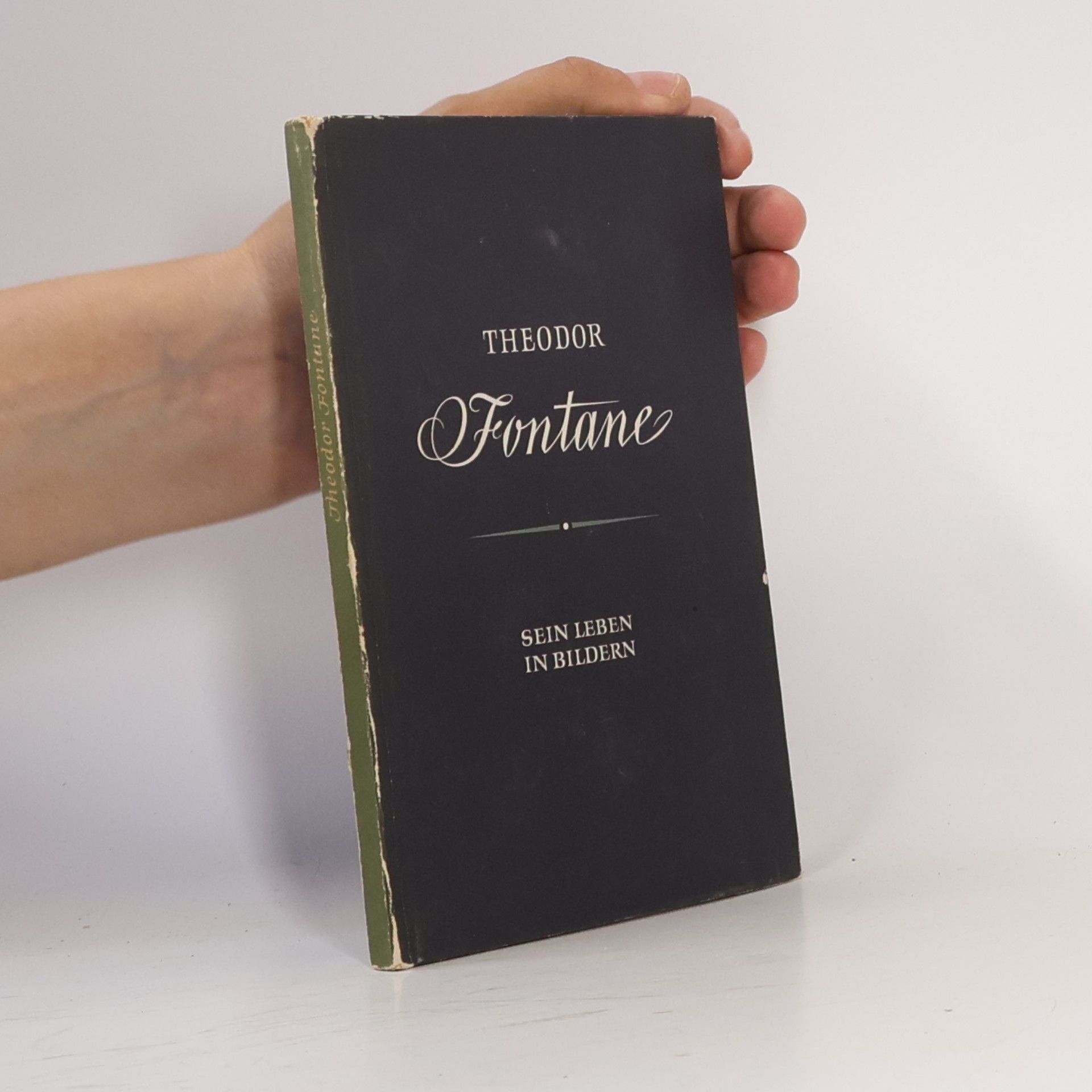 kolektiv Theodor Fontane : Sein Leben in Bildern