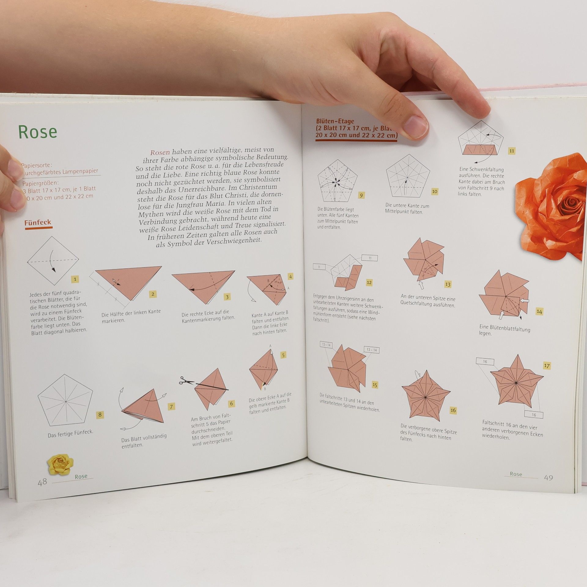 Jens Helge Dahmen Blütenzauber mit Origami