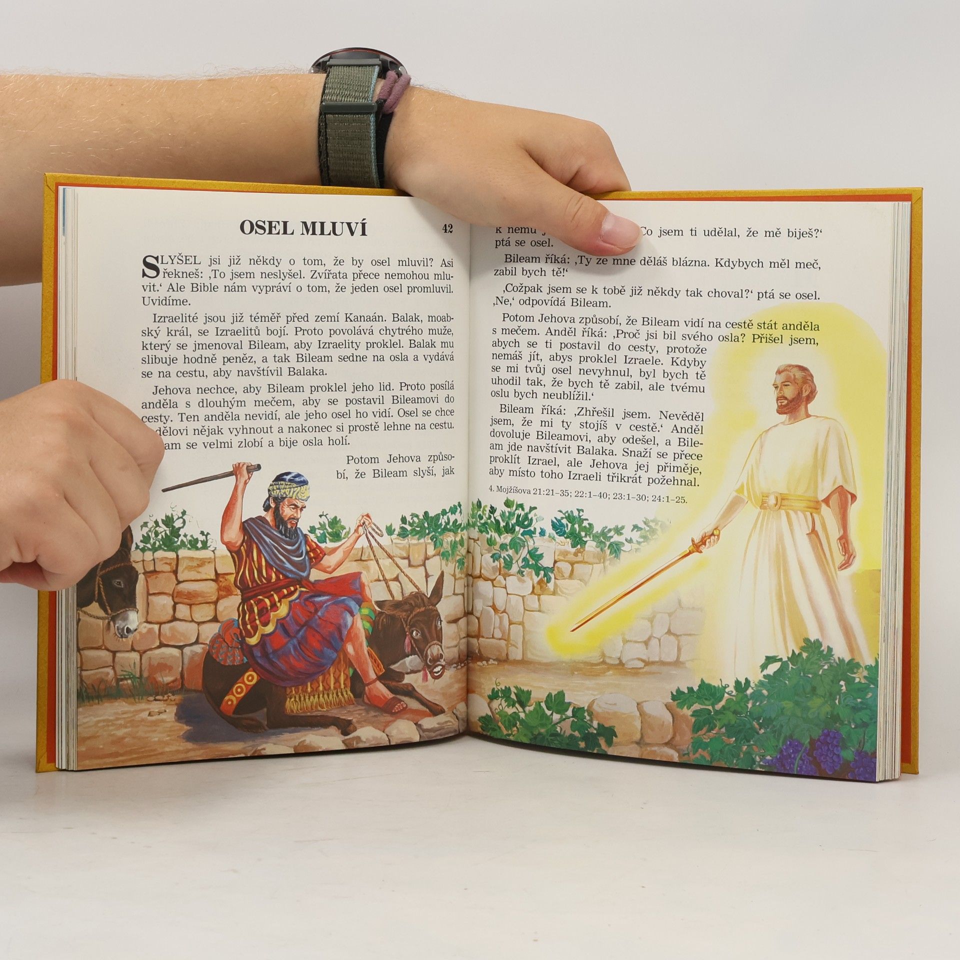 Kolektív autorov Moje kniha biblických příběhů