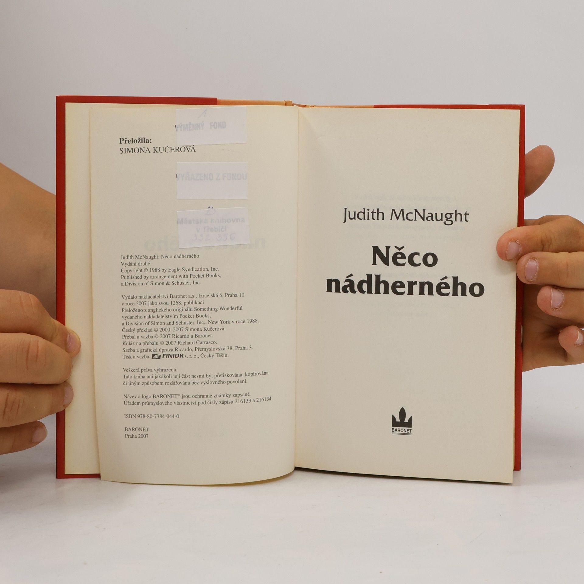 Judith McNaught Něco nádherného