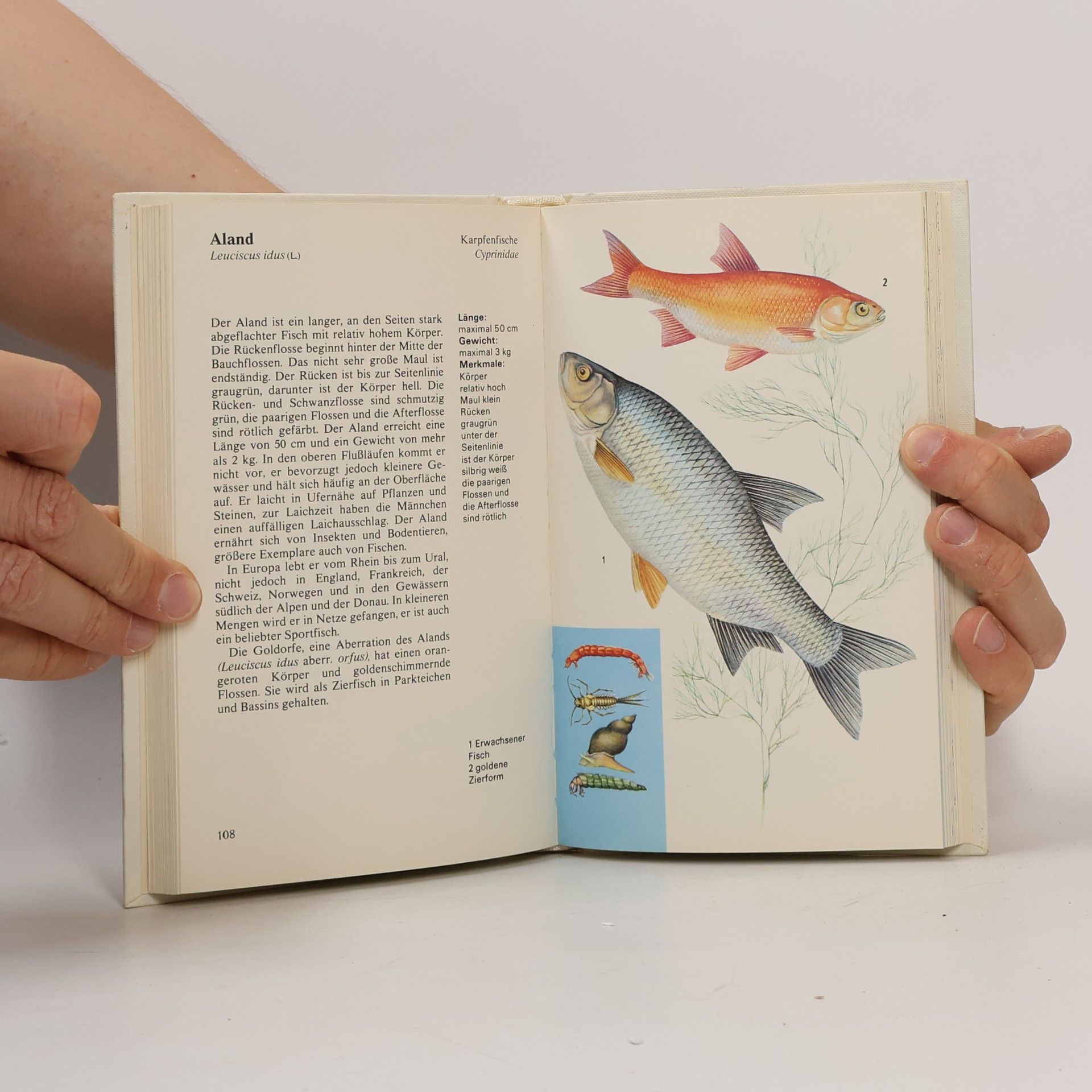 Jiří Čihař Süßwasserfische. Natur in Farbe