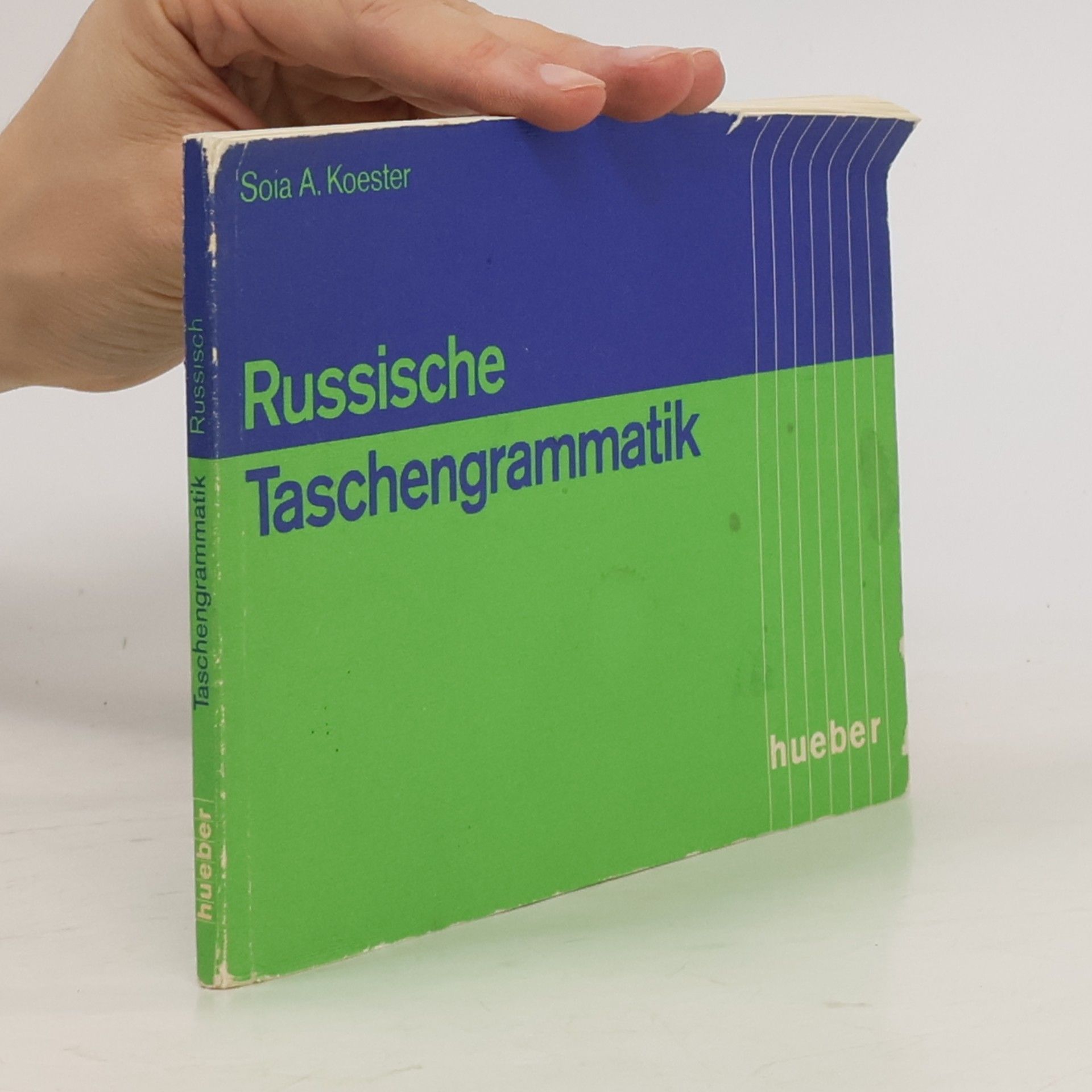 Soia A. Koester Russische Taschengrammatik