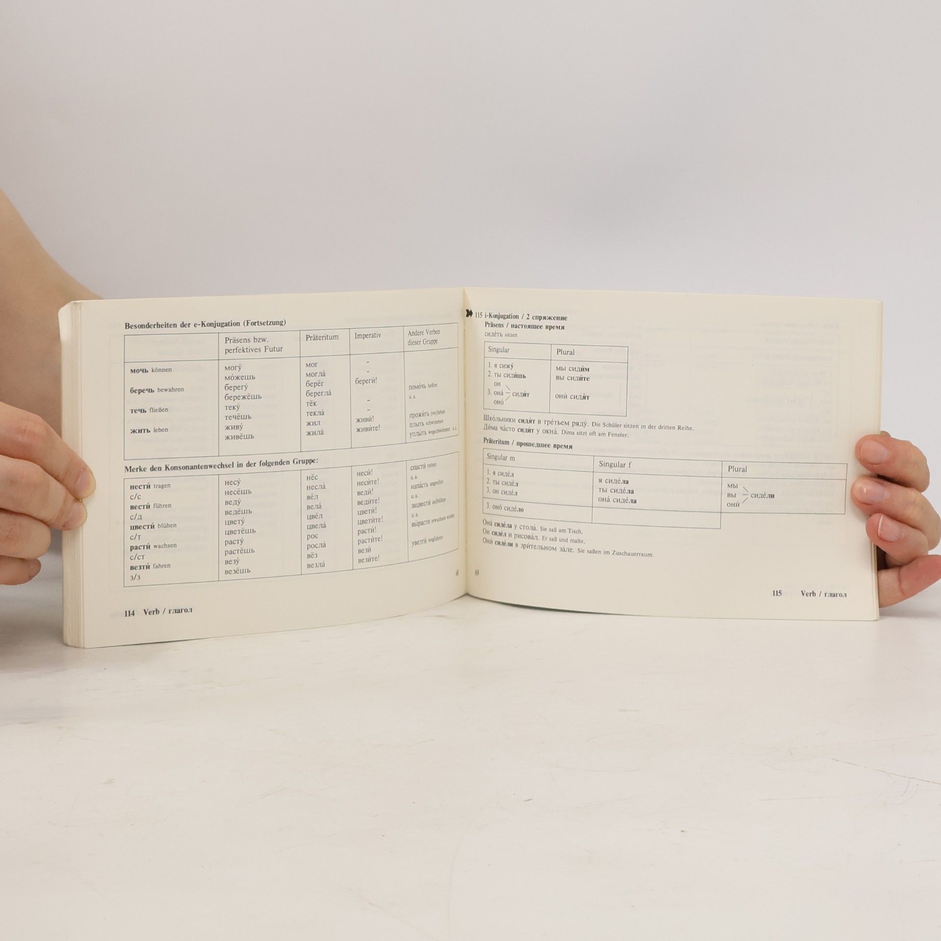 Soia A. Koester Russische Taschengrammatik