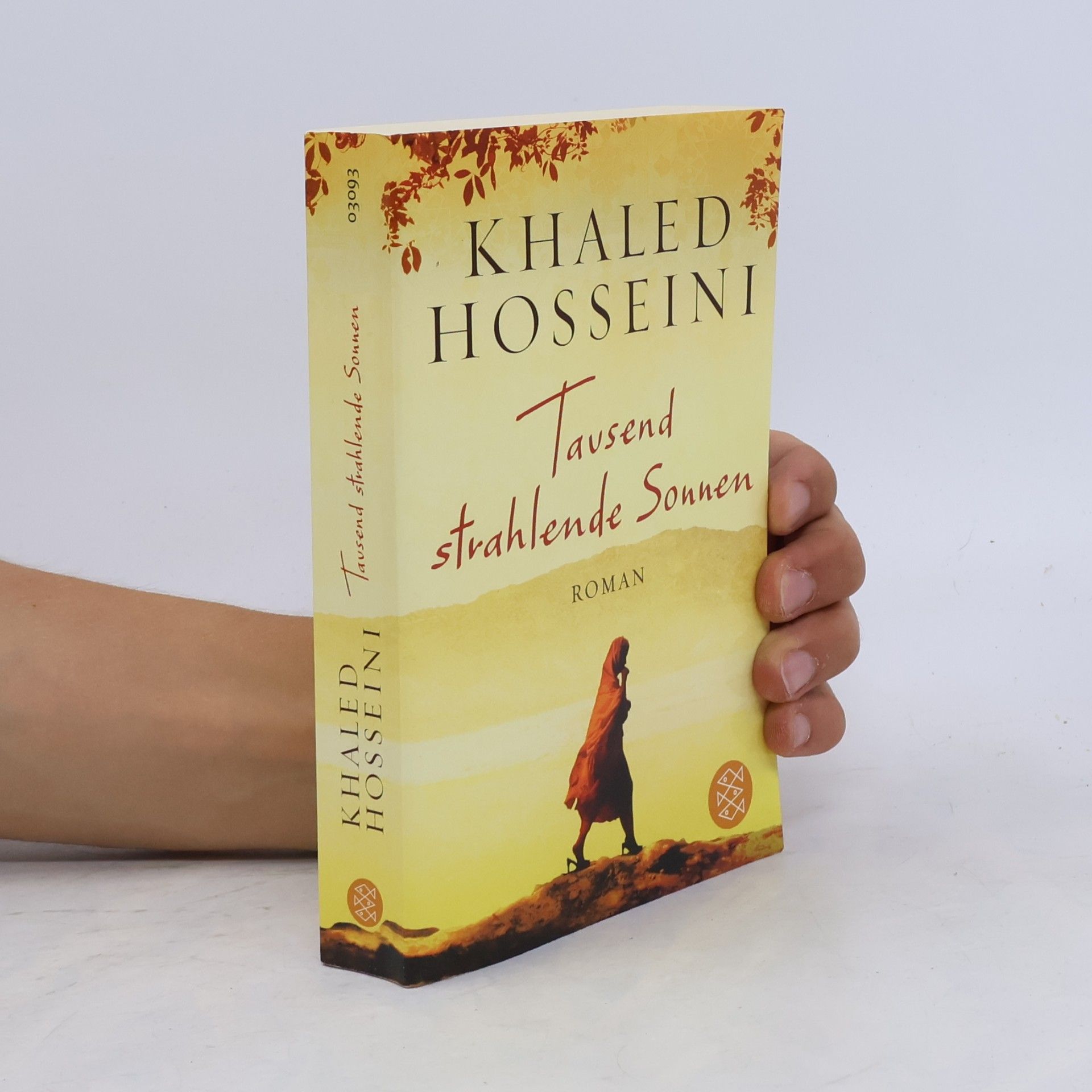 Khaled Hosseini Tausend strahlende Sonnen