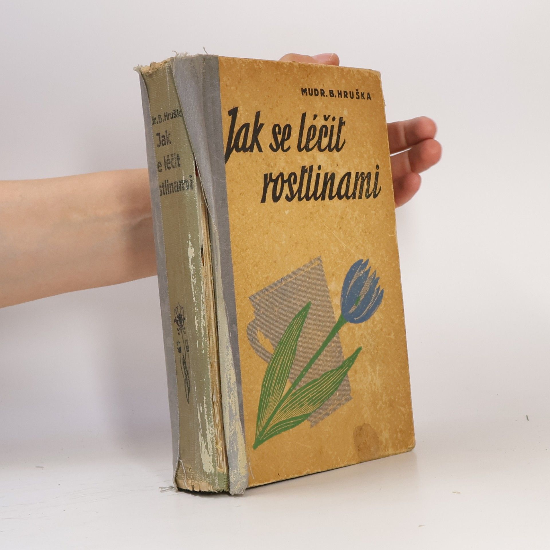 Blahoslav Hruška Jak se léčit rostlinami