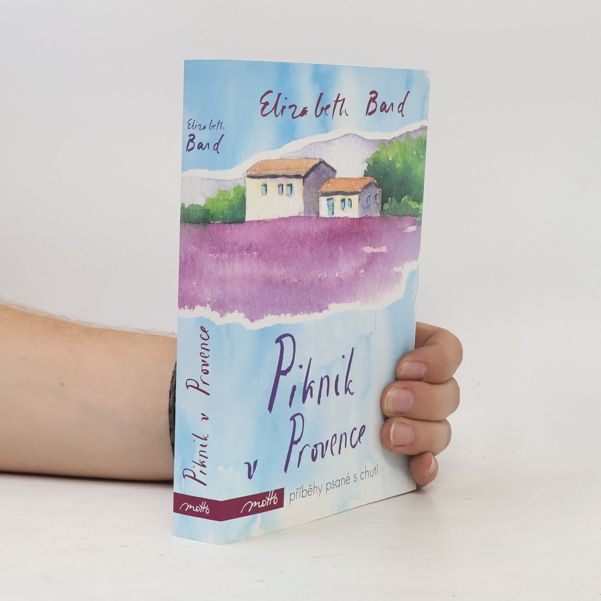 Elizabeth Bard Piknik v Provence