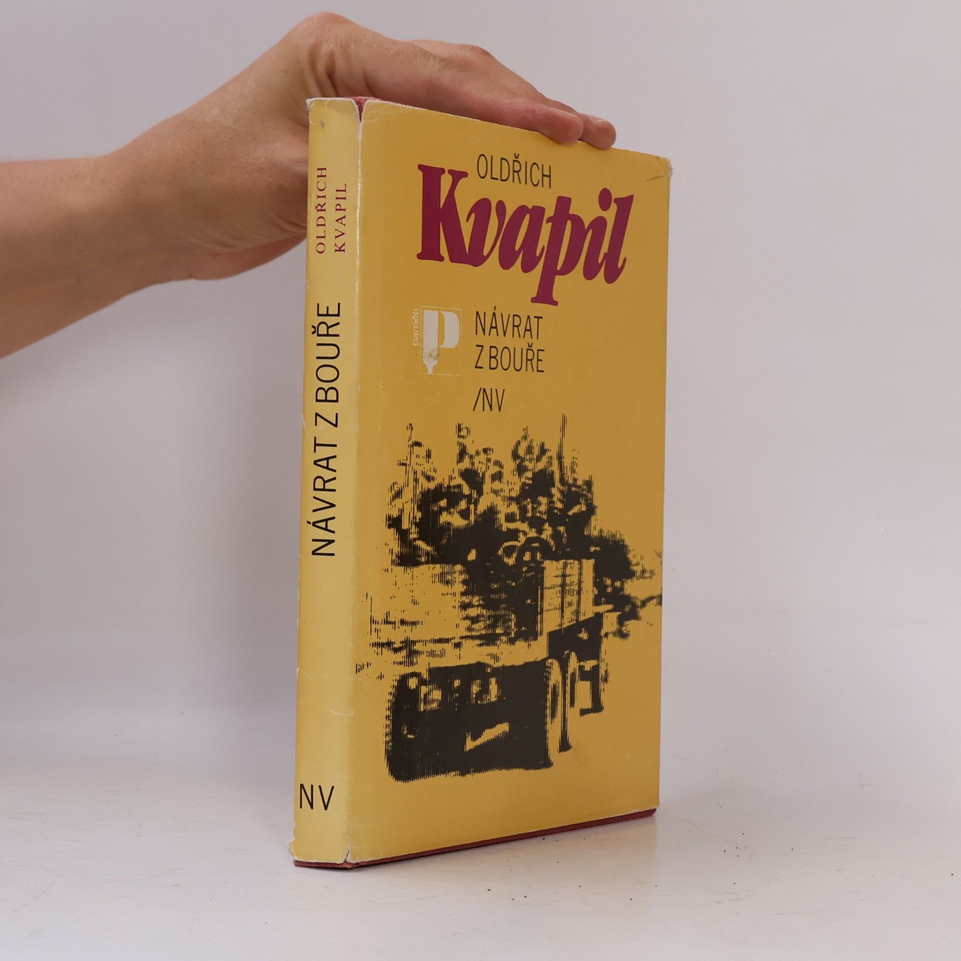 Oldřich Kvapil Návrat z bouře