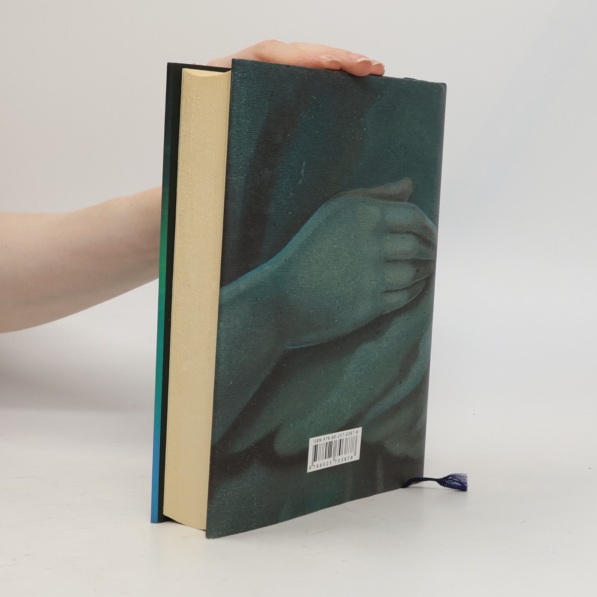 Audrey Niffenegger Její děsivá souměrnost