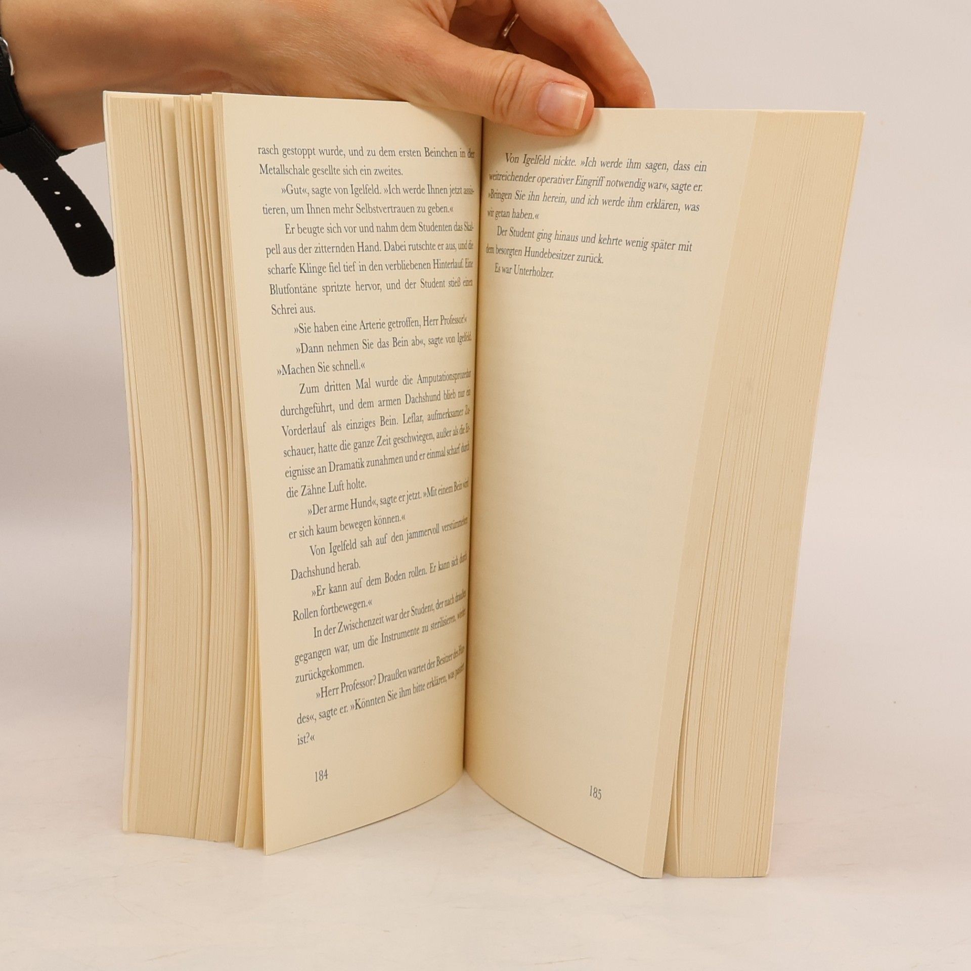 Alexander McCall Smith Die verschmähten Schriften des Professor von Igelfeld. Roman
