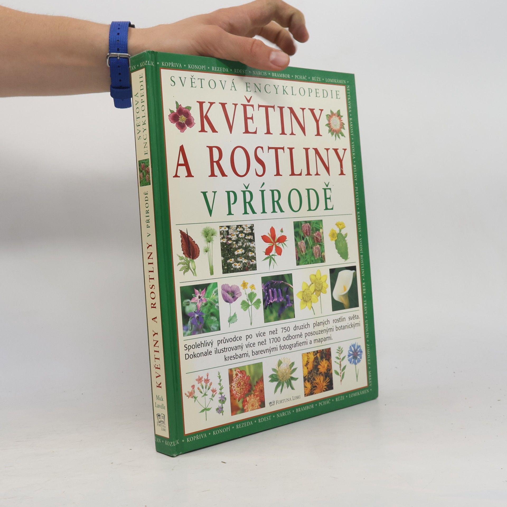 Mike Atkinson Květiny a rostliny v přírodě