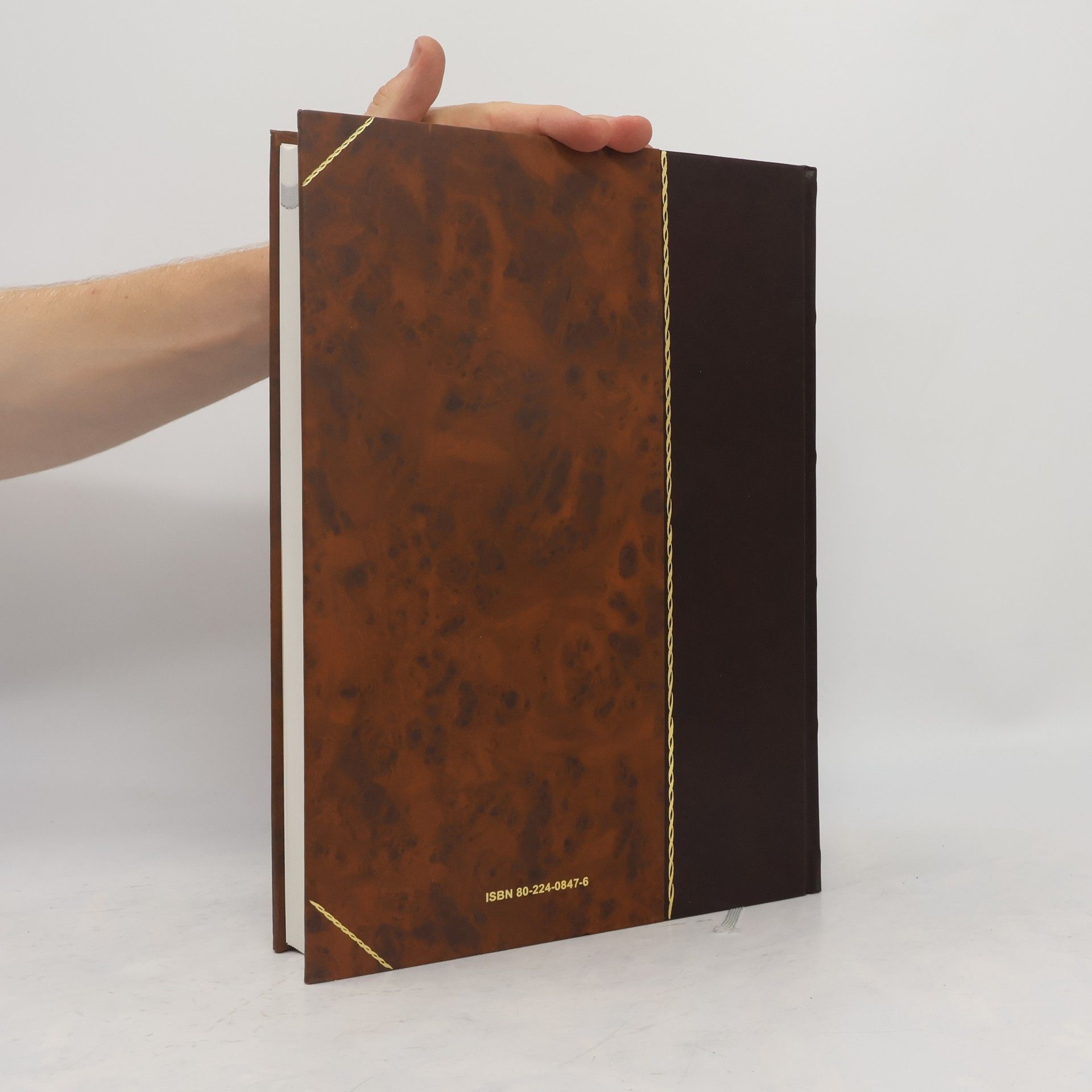 Kolektiv autorů Encyclopaedia Beliana 4