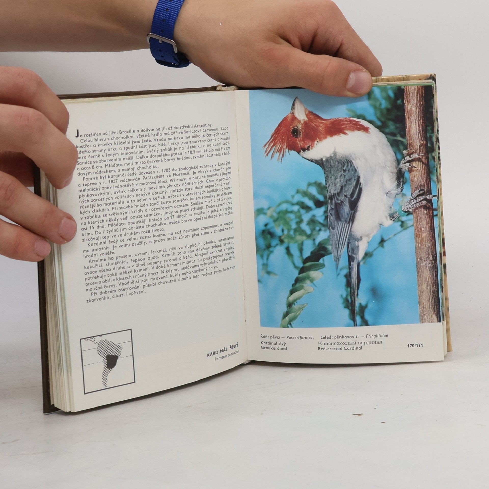 Zdeněk Veger Kapesní atlas cizokrajných ptáků