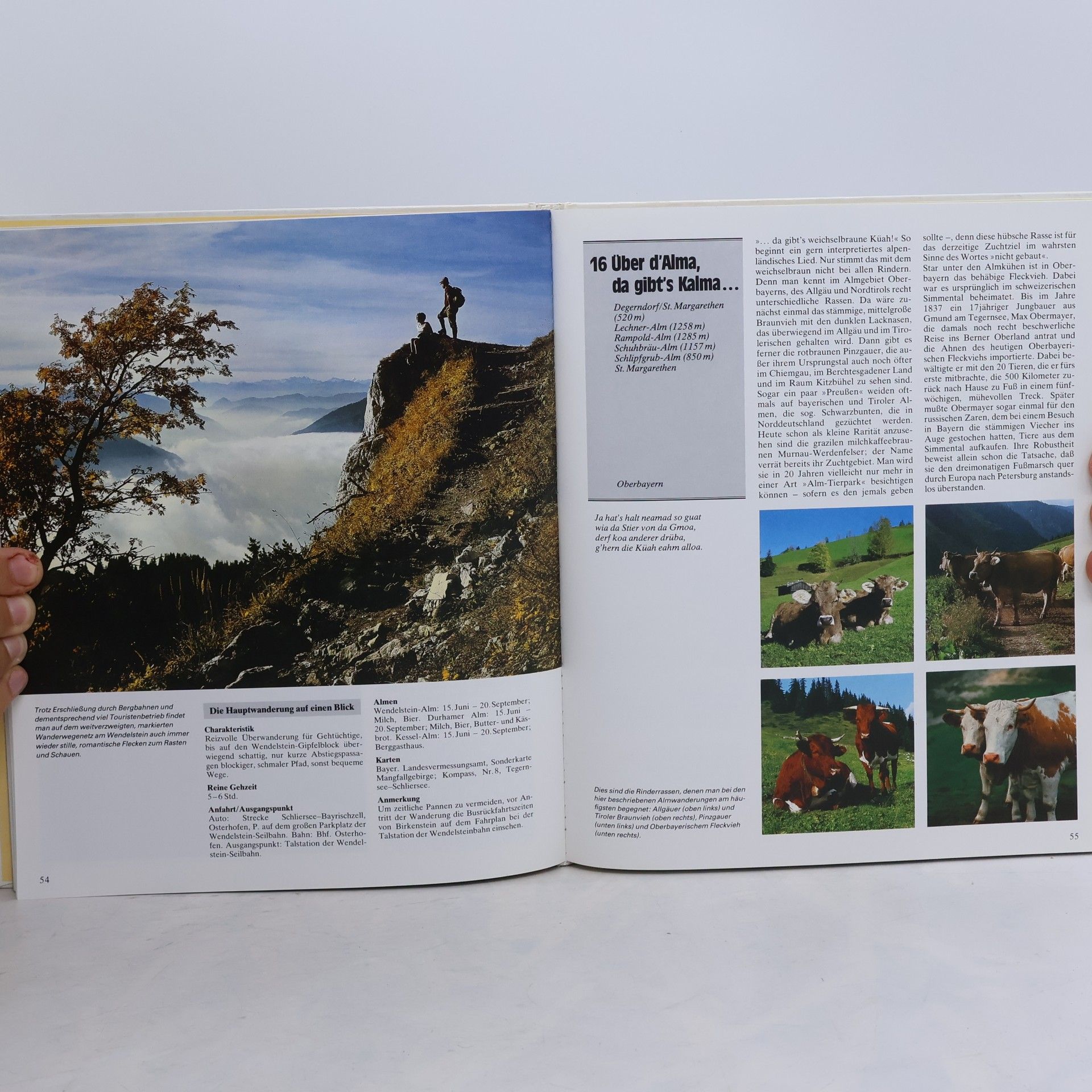 Marianne Heilmannseder Das Alm-Wanderbuch