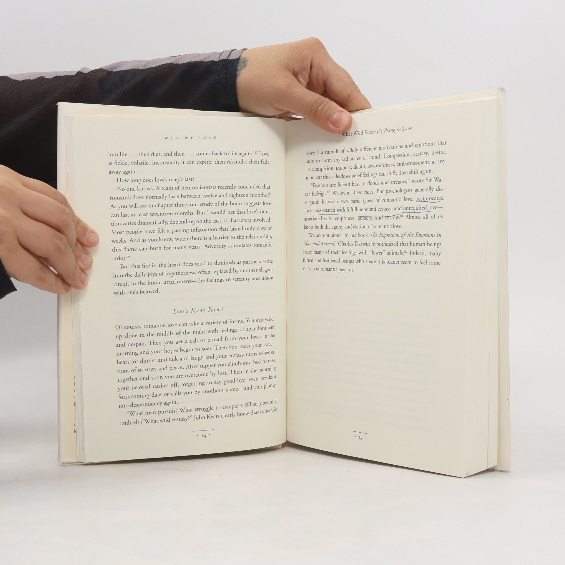 Helen E. Fisher Why We Love