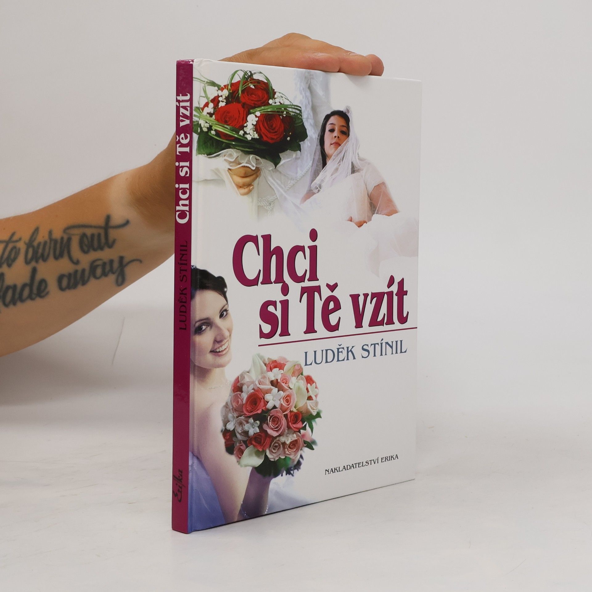 Luděk Stínil Chci si tě vzít